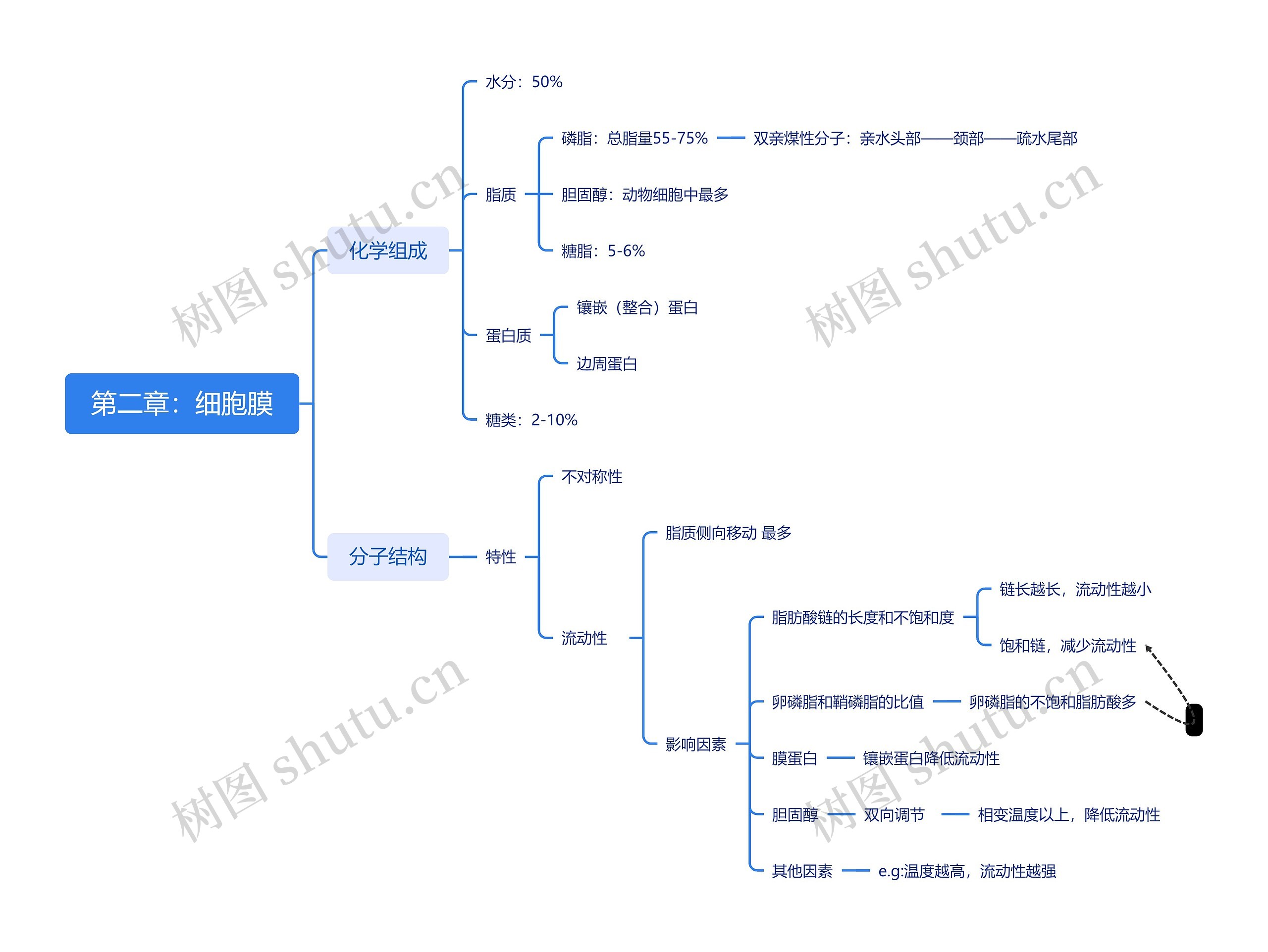 第二章：细胞膜思维导图