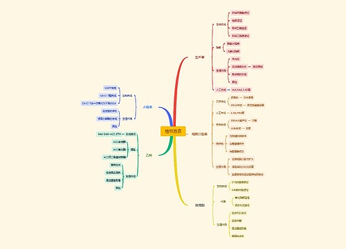 植物激素思维脑图思维导图