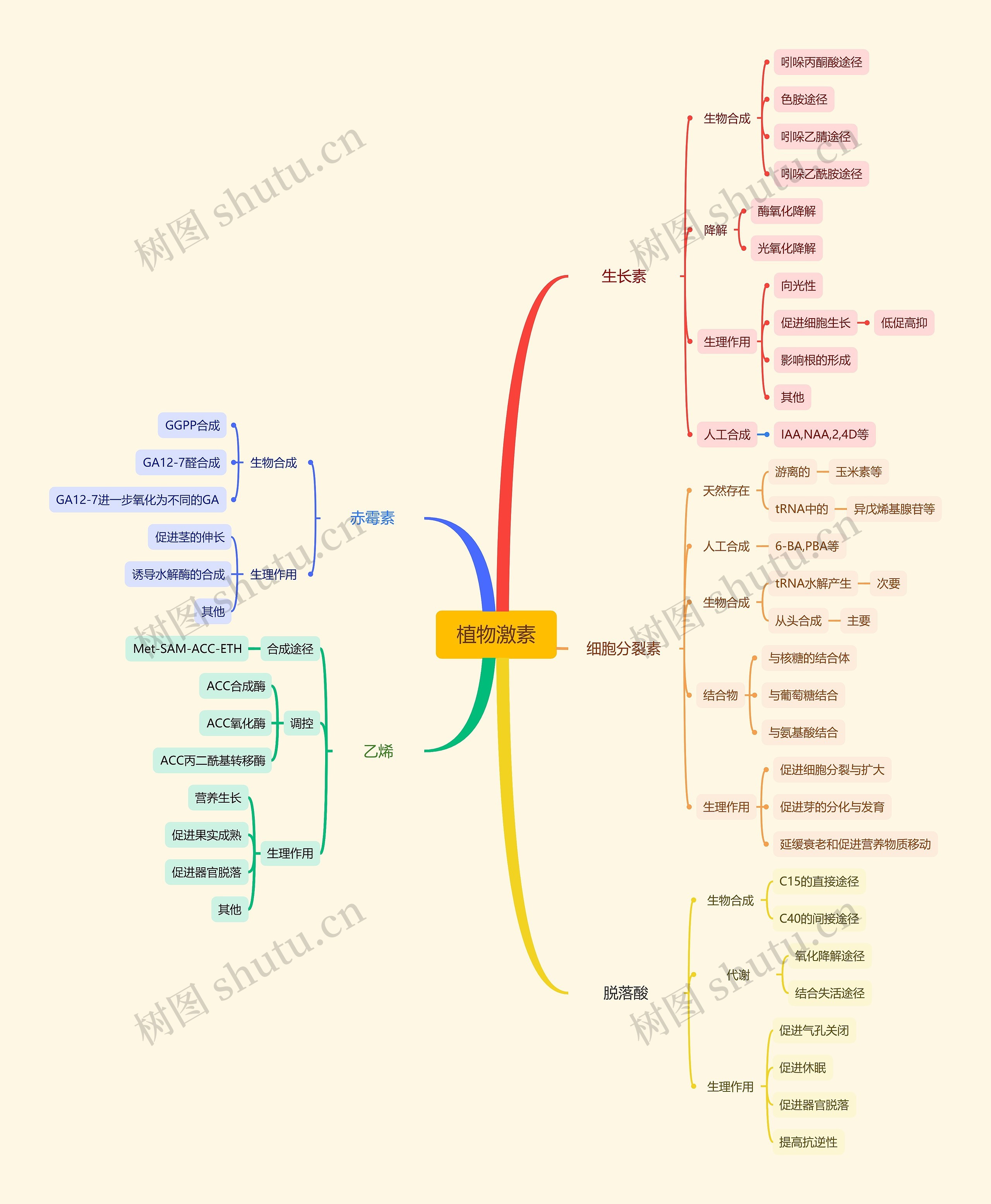 植物激素思维脑图