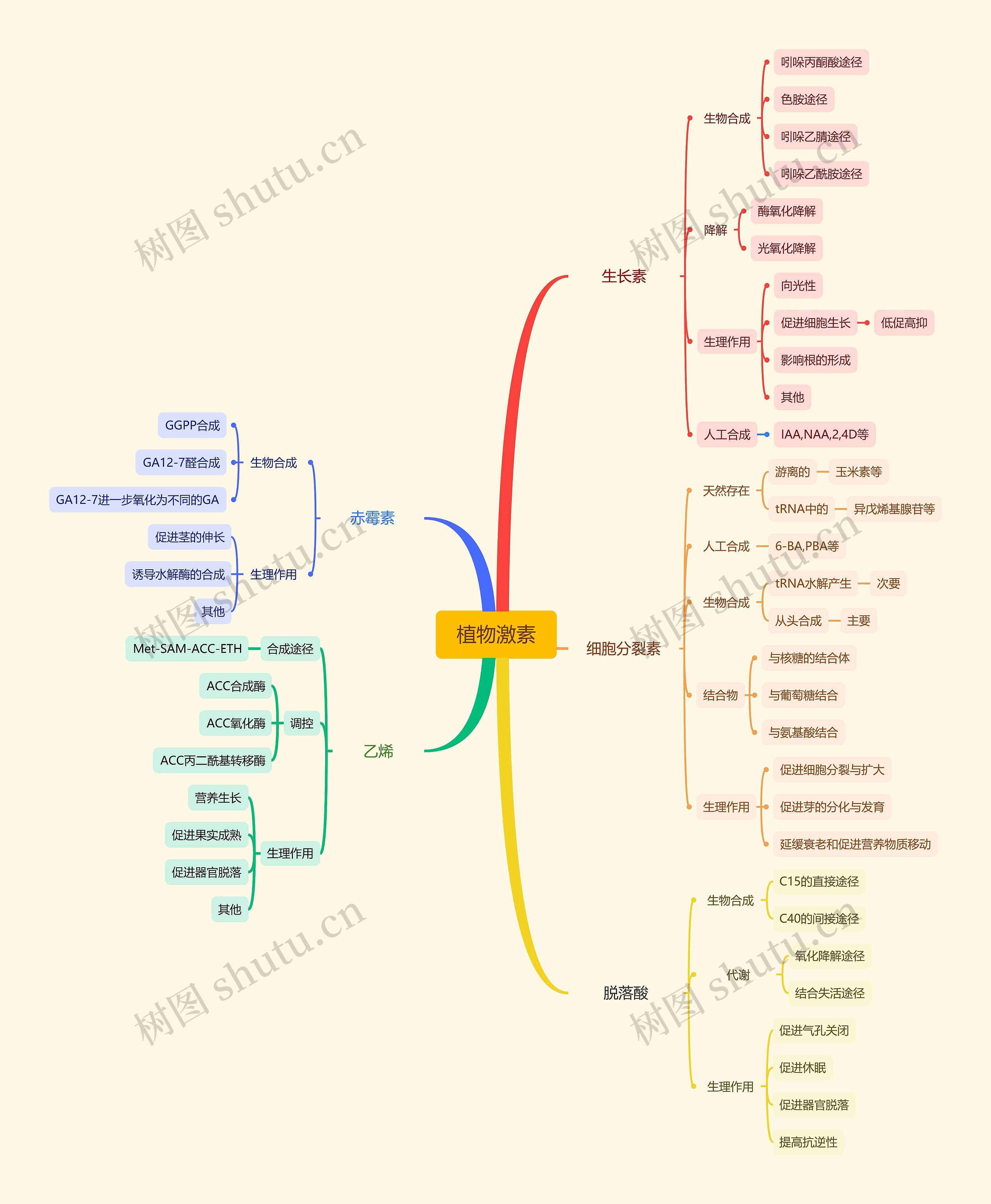 植物激素思维导图高清图 植物激素思维导图