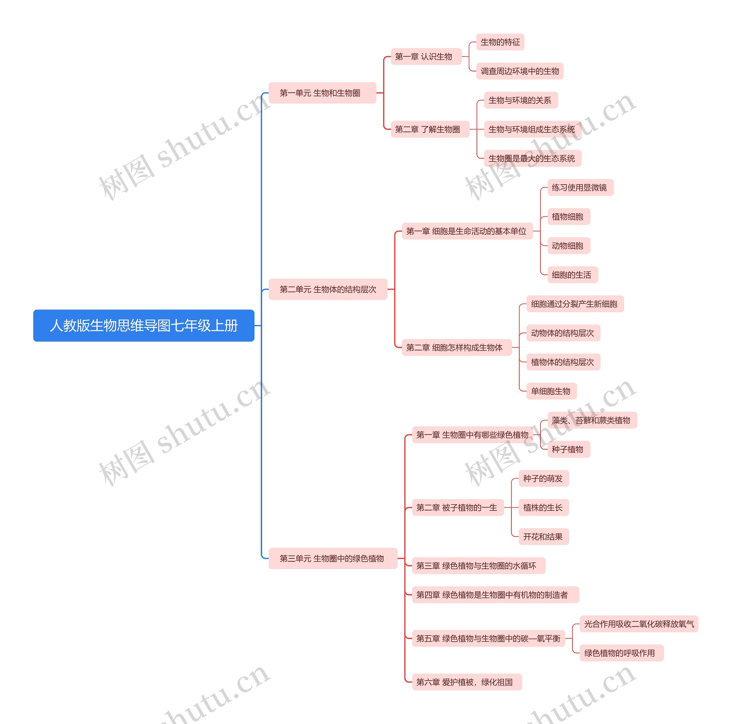 人教版生物思维导图七年级上册