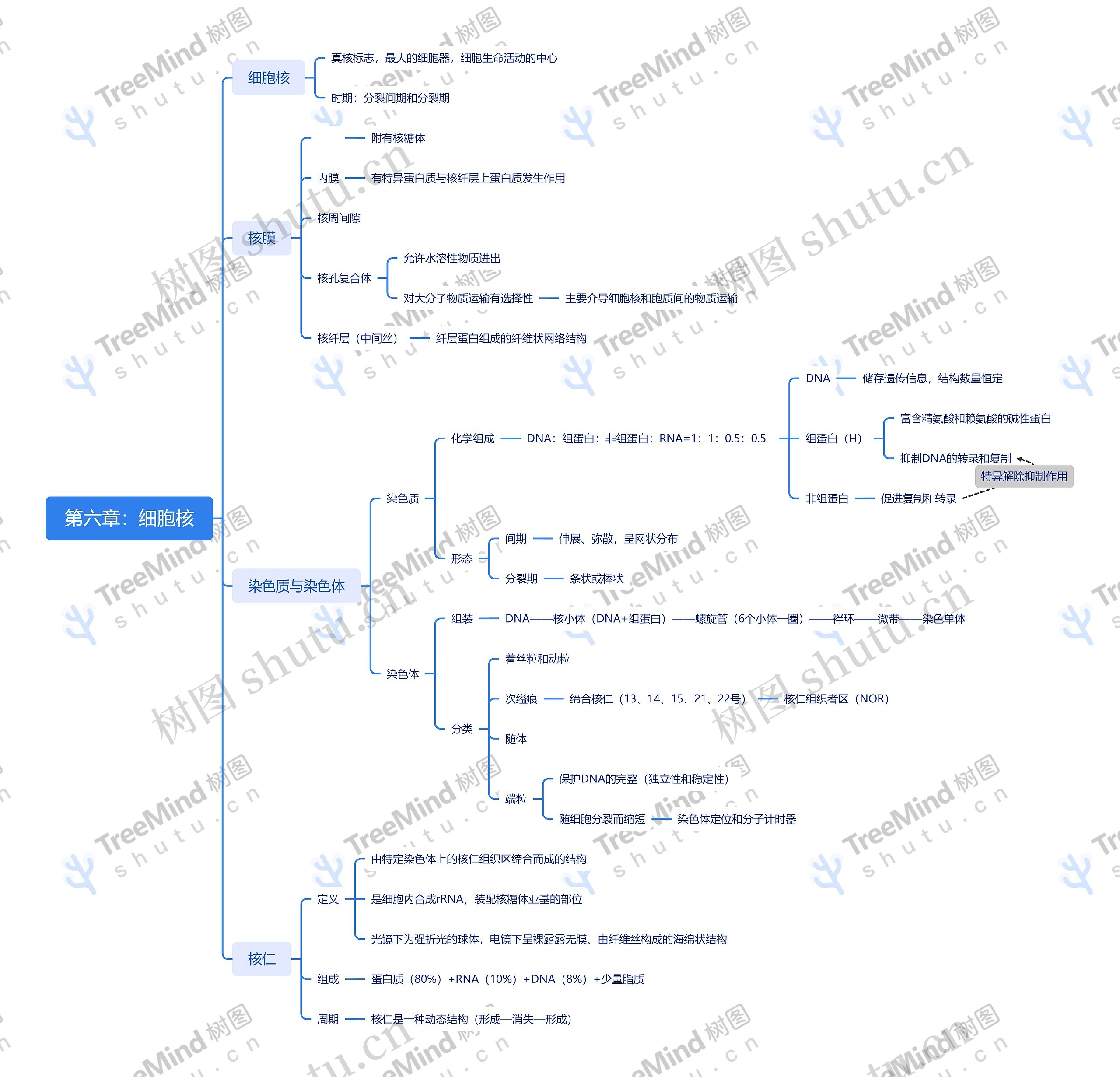 第六章：细胞核思维导图