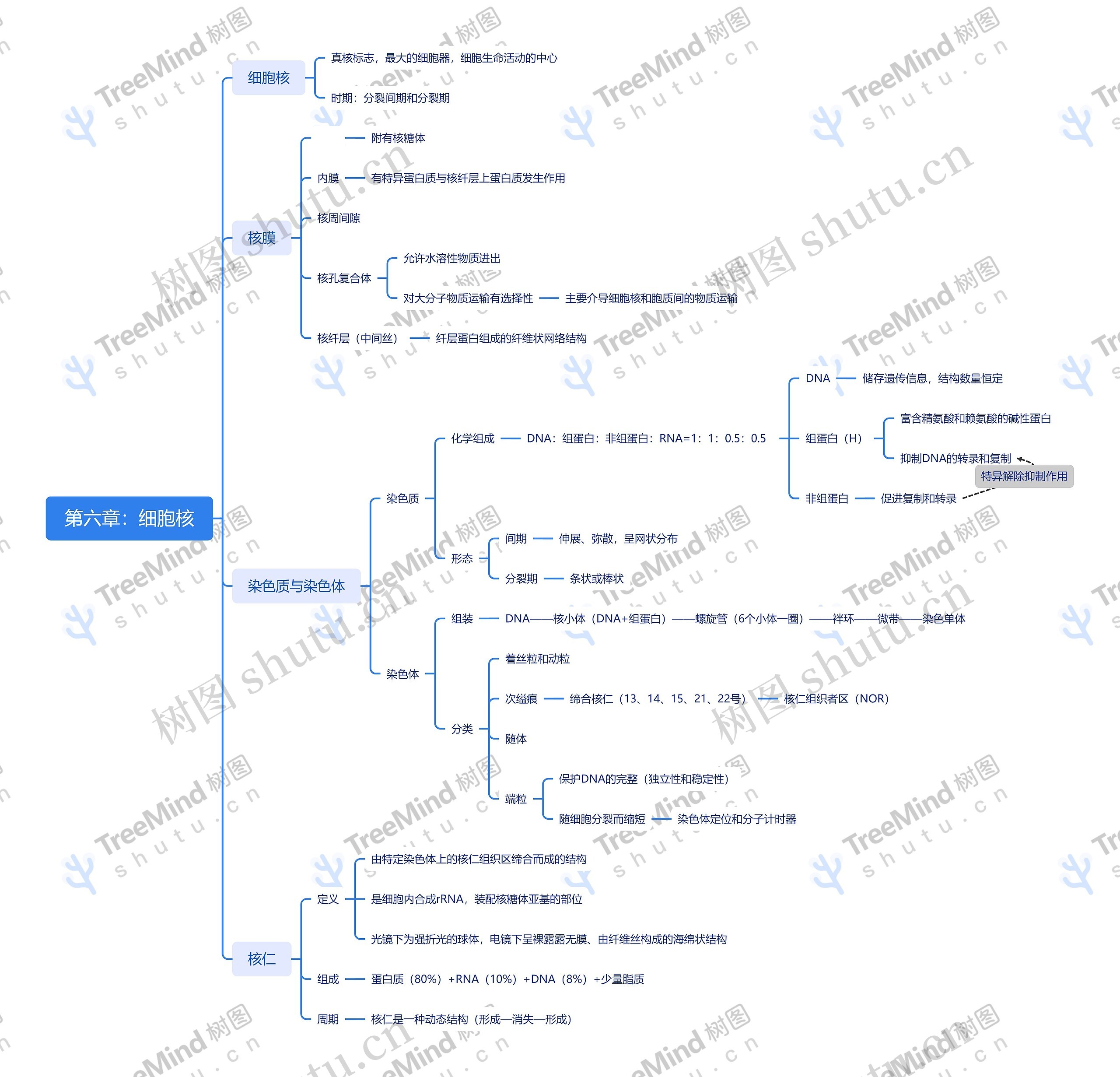 第六章:细胞核思维导图高清图 第六章:细胞核思维导图