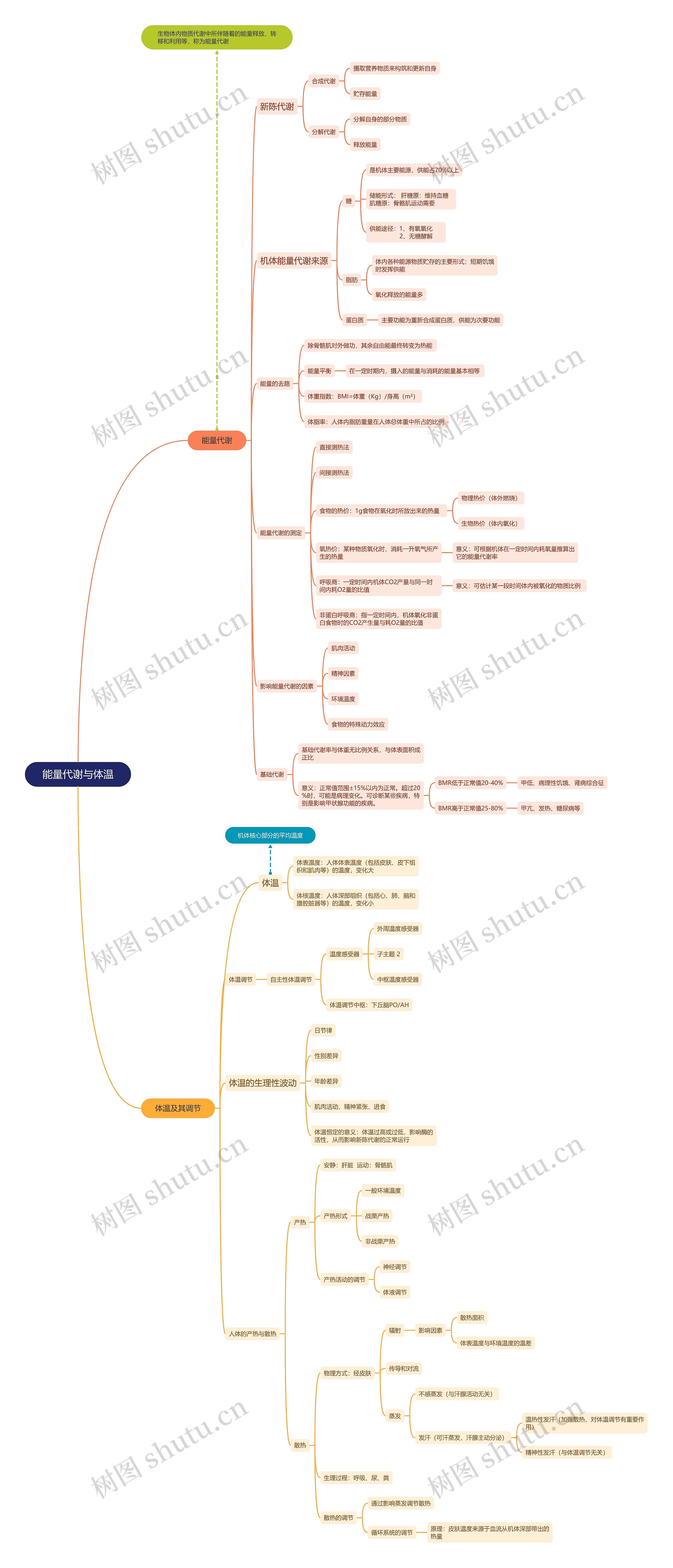 能量代谢与体温思维导图