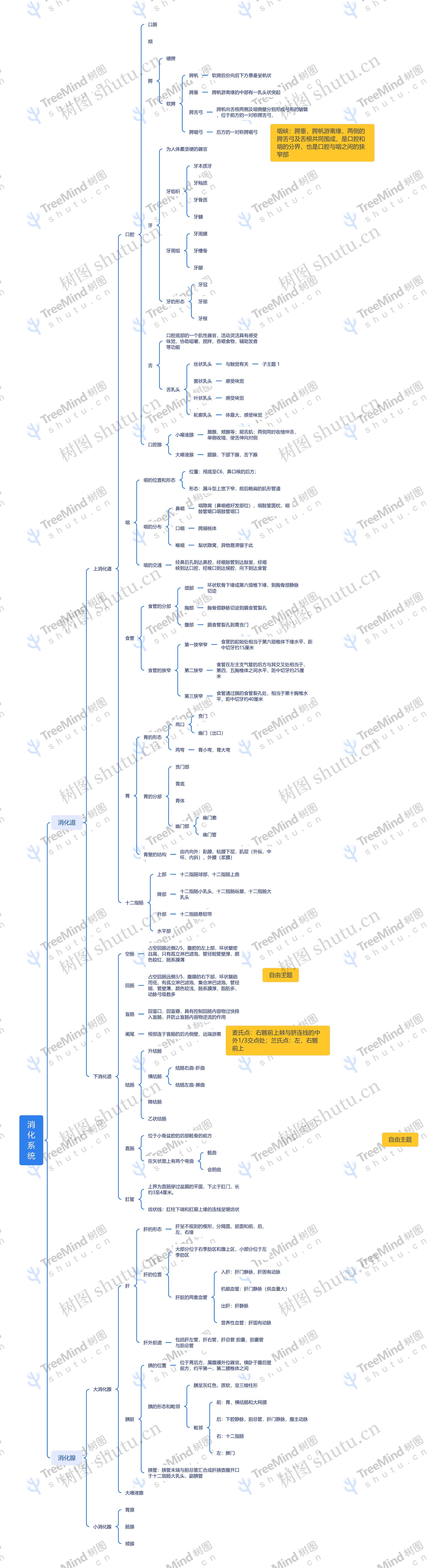 消化系统思维脑图