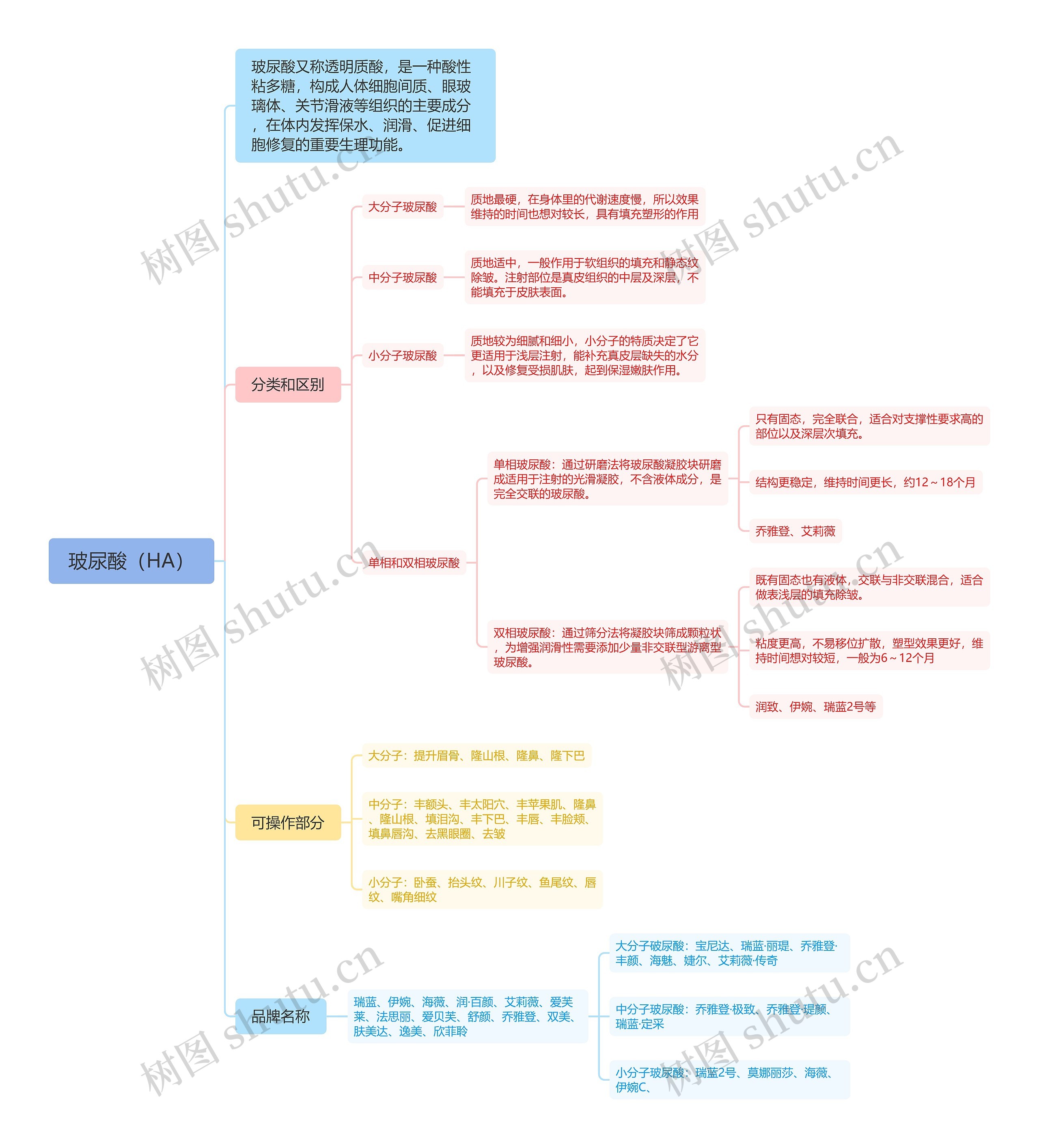 玻尿酸（HA）思维脑图