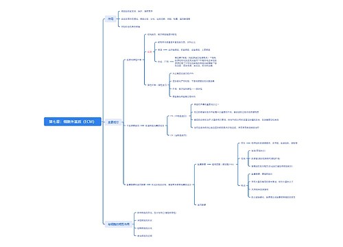 第七章：细胞外基质（ECM）思维导图