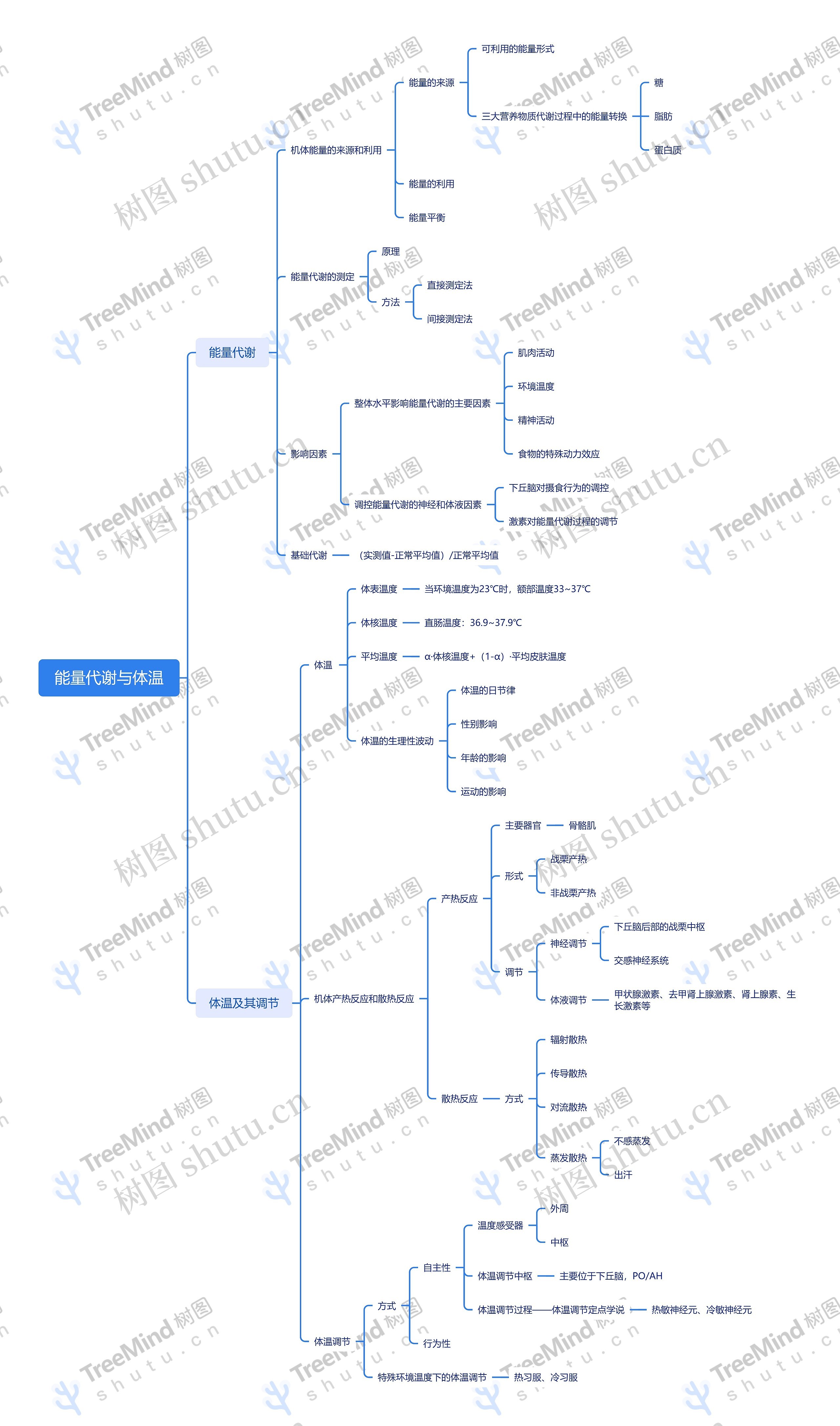 能量代谢与体温思维导图
