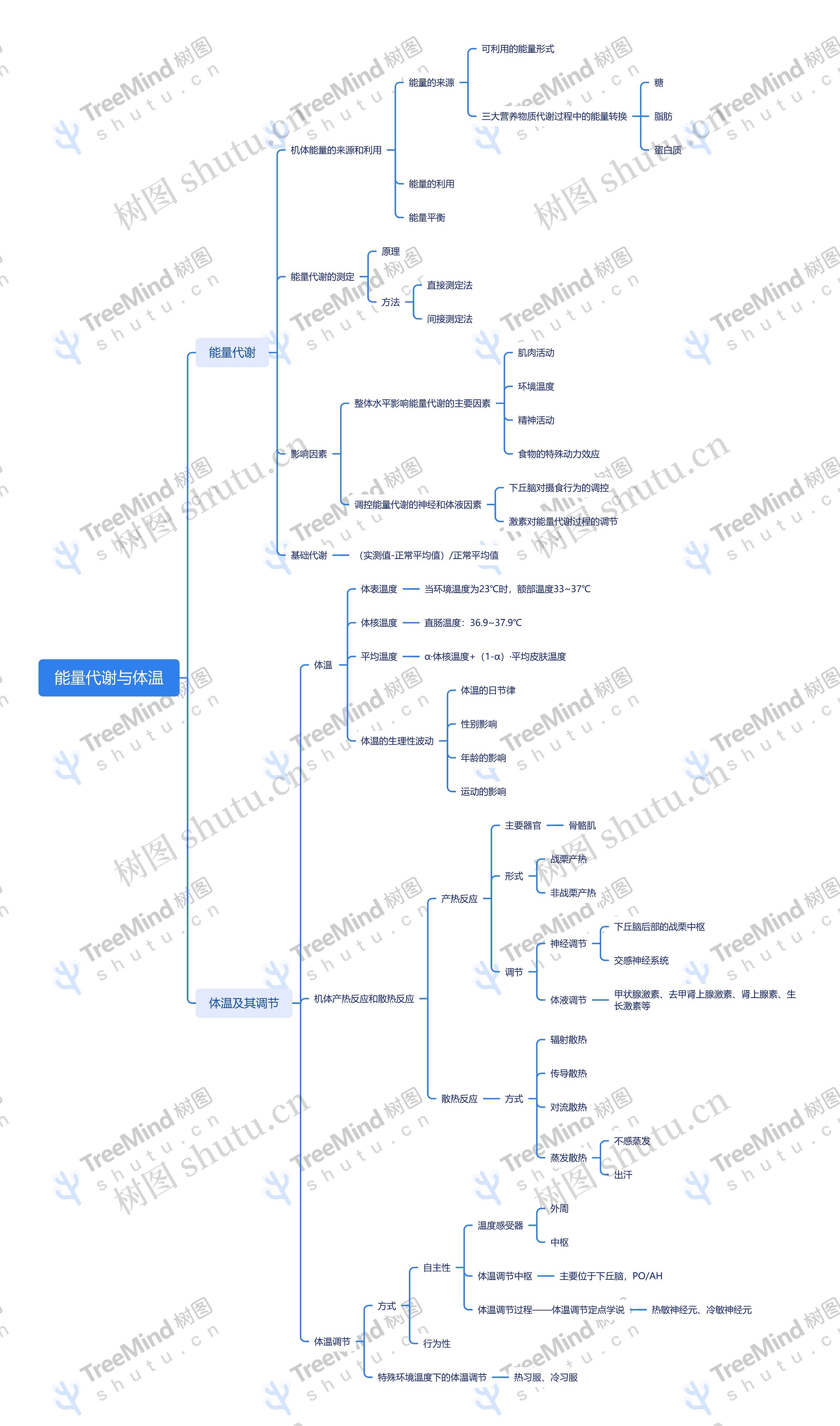 能量代谢与体温思维导图高清图 能量代谢与体温思维导图