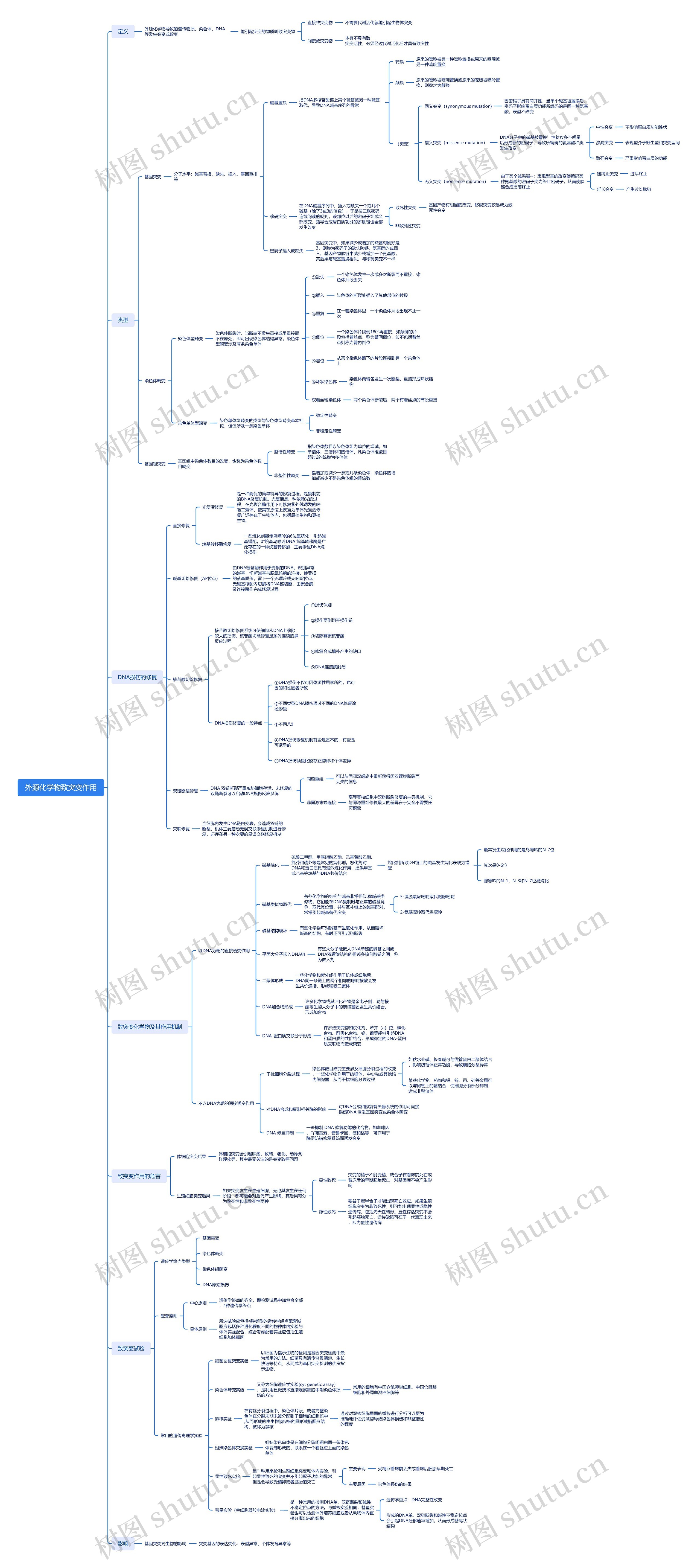外源化学物致突变作用脑图