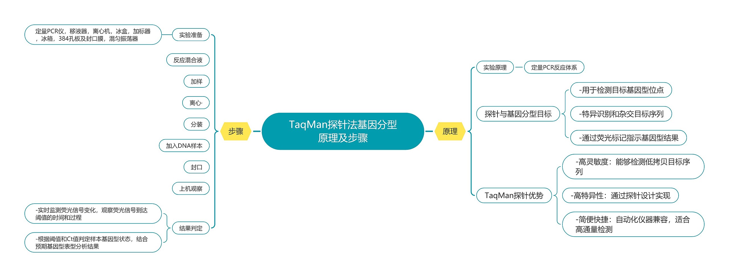 TaqMan探针法基因分型原理及步骤思维导图