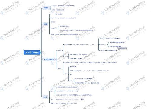第六章：细胞核思维导图