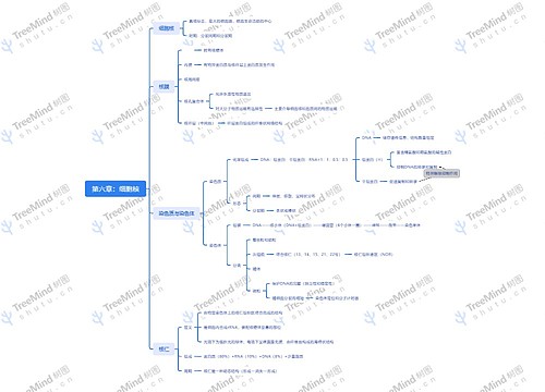 第六章:细胞核思维导图