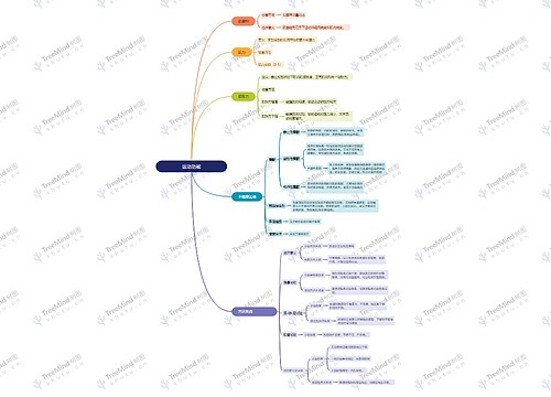 ﻿运动功能思维脑图思维导图