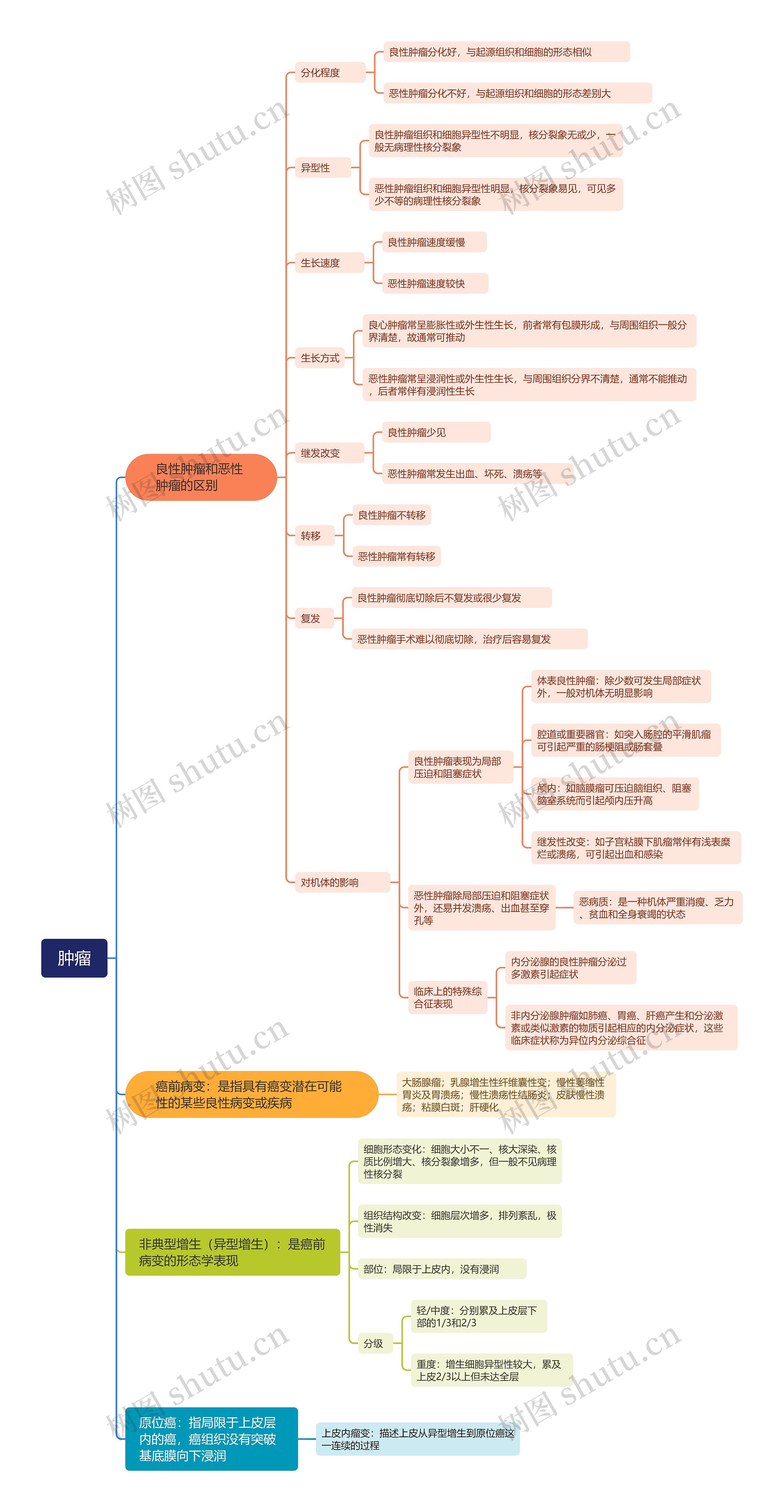 肿瘤介绍思维脑图