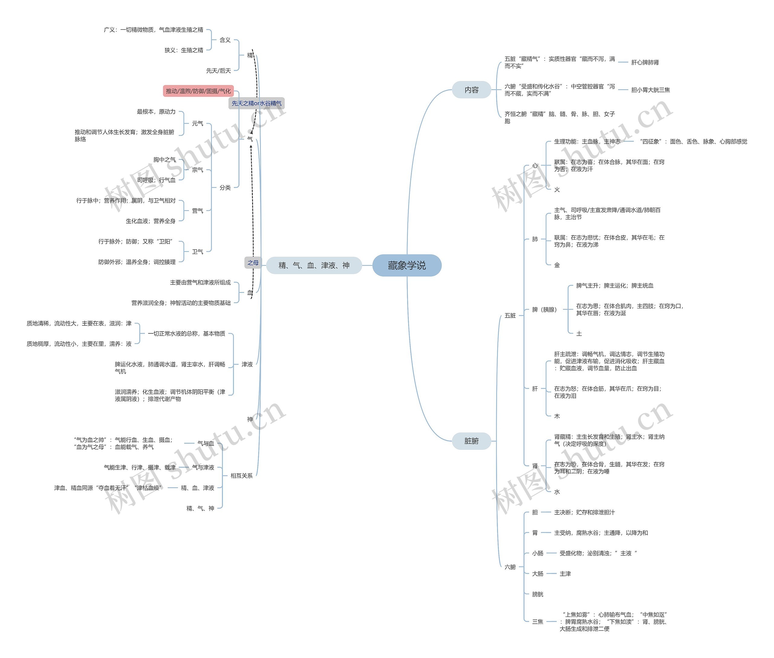 藏象学说思维脑图