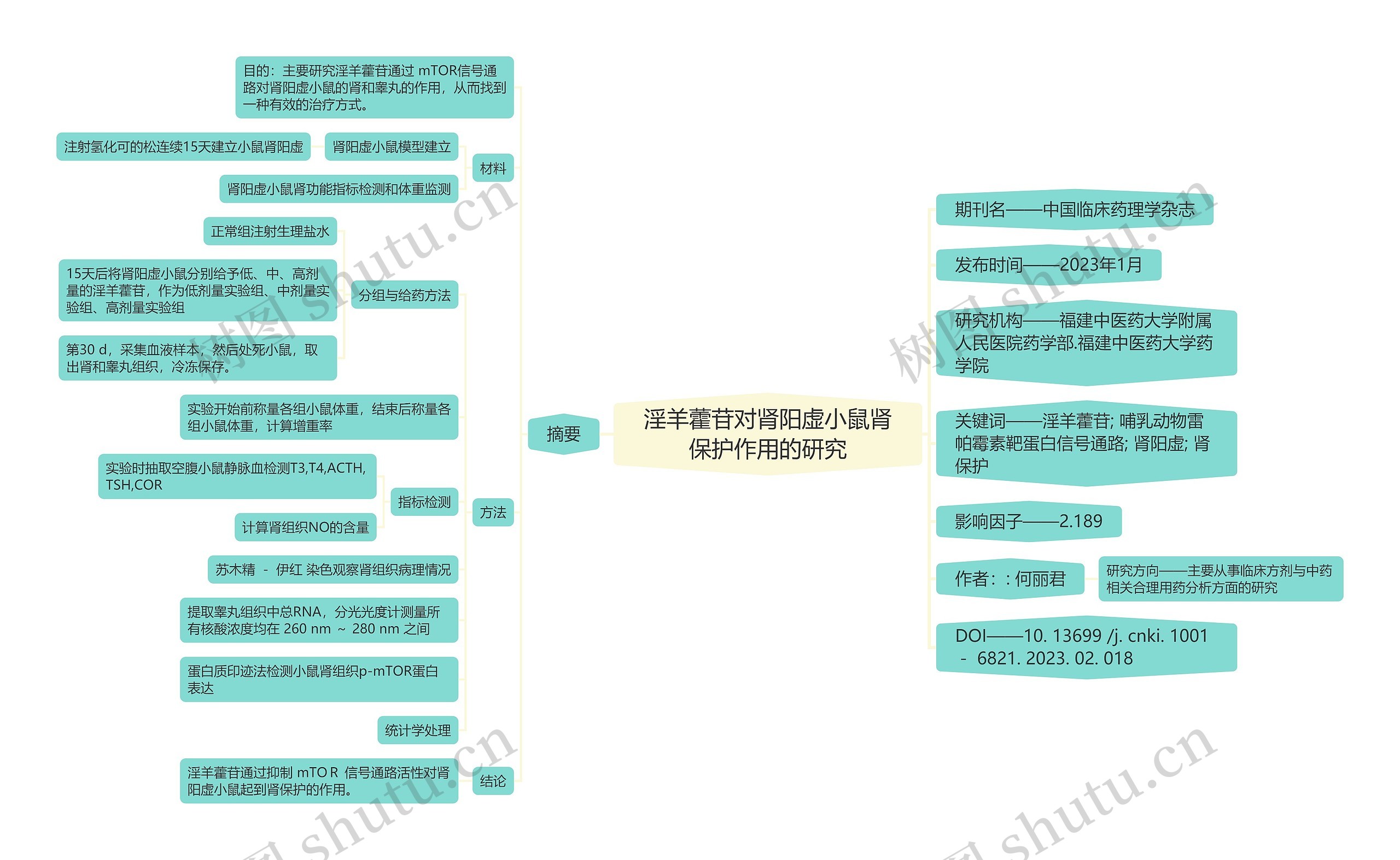 淫羊藿苷对肾阳虚小鼠肾保护作用的研究思维导图高清图 淫羊藿苷对肾阳虚小鼠肾保护作用的研究思维导图