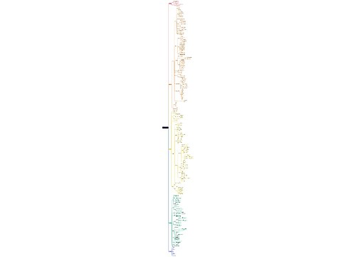 C# 知识体系构建脑图思维导图