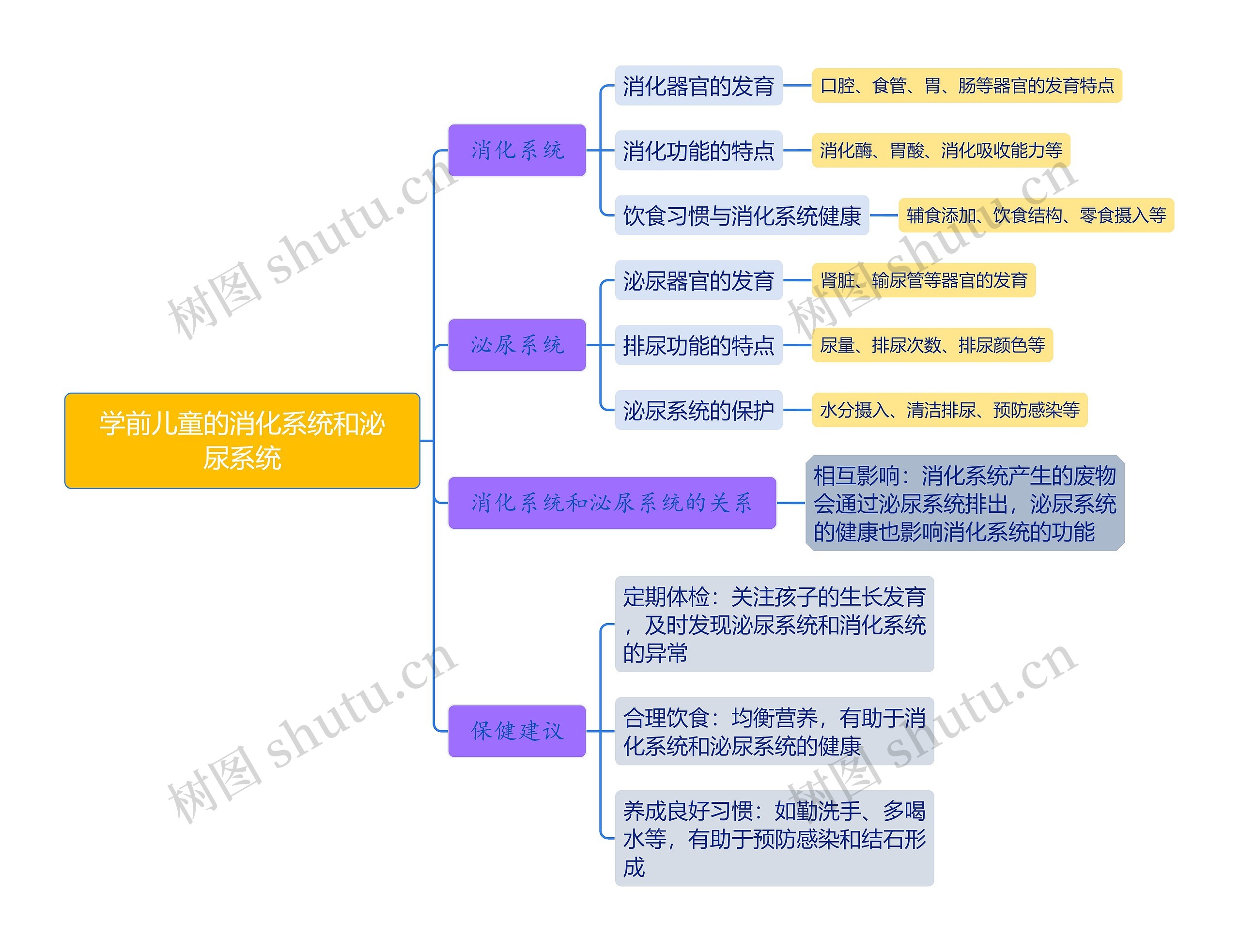 学前儿童的消化系统和泌尿系统思维导图