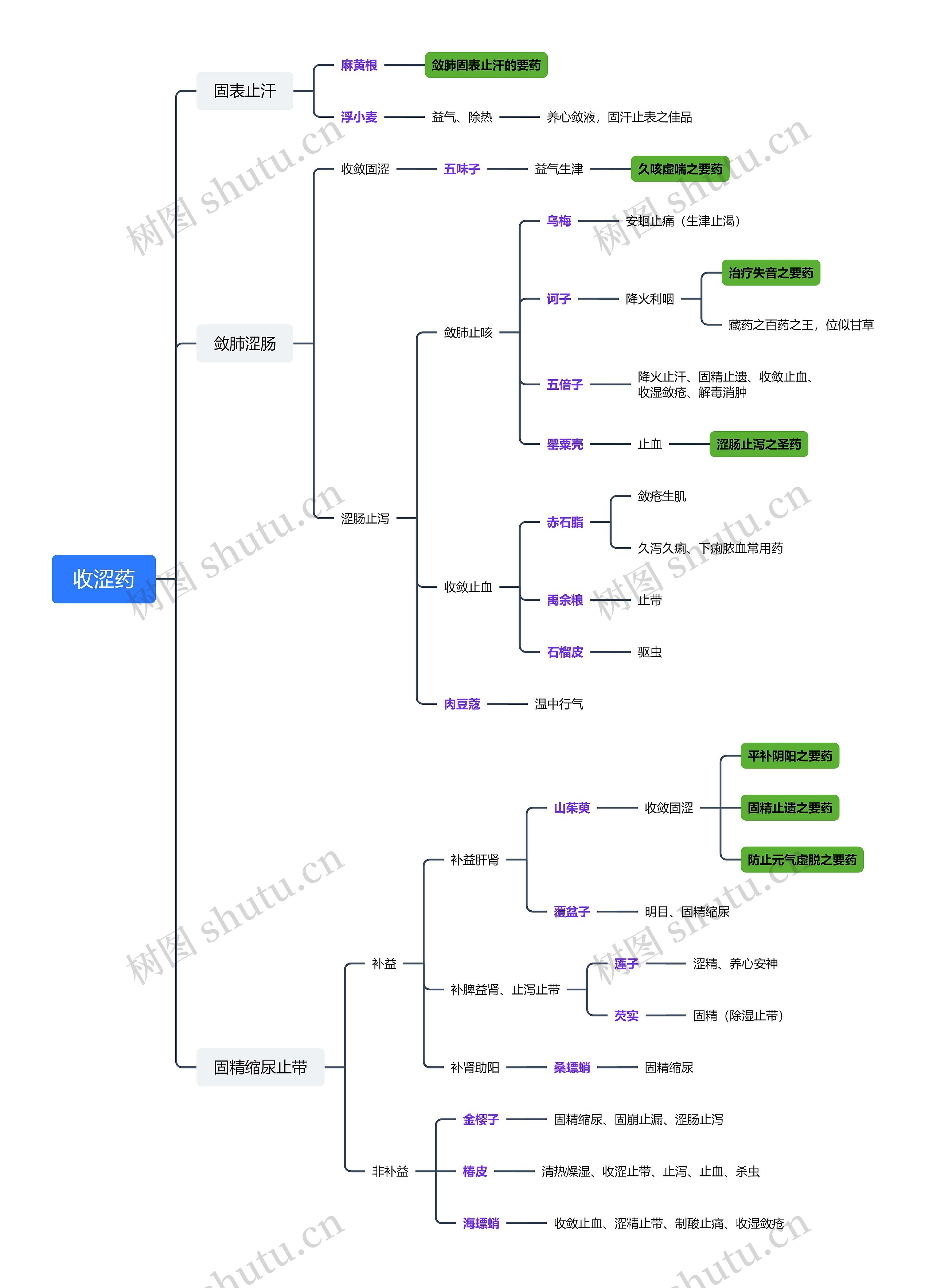 ﻿收涩药思维导图
