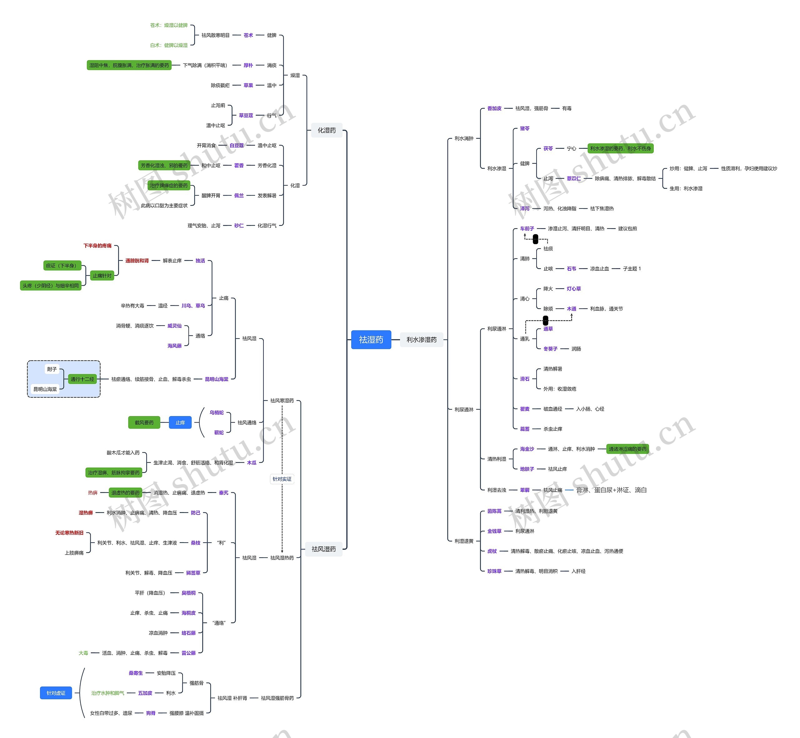 祛湿药中医中药脑图