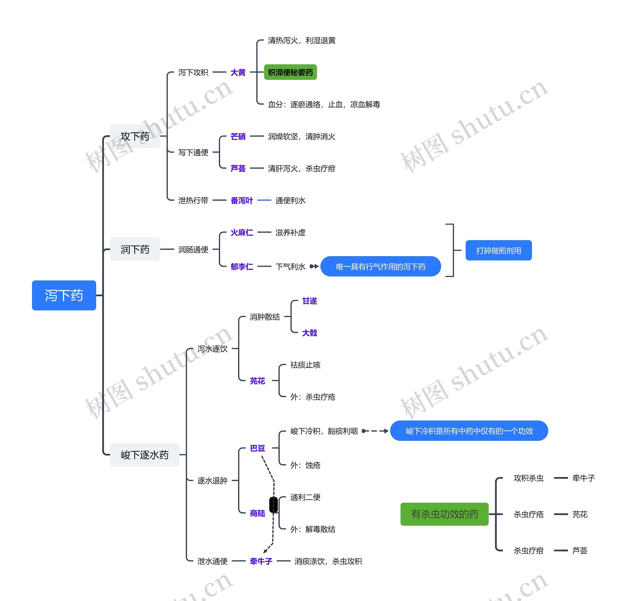 泻下药药理知识脑图思维导图