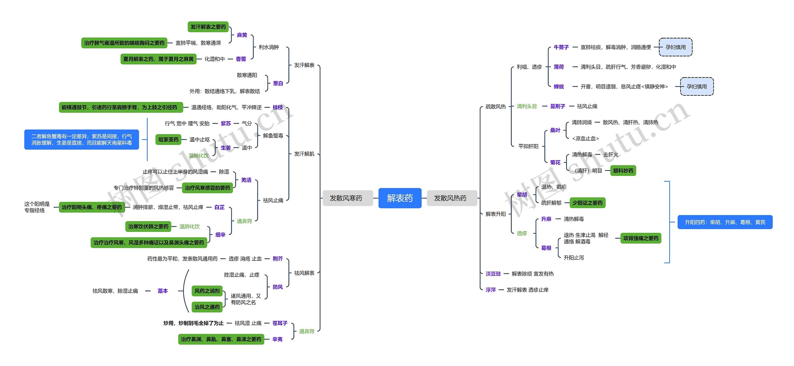 解表药药物介绍脑图思维导图