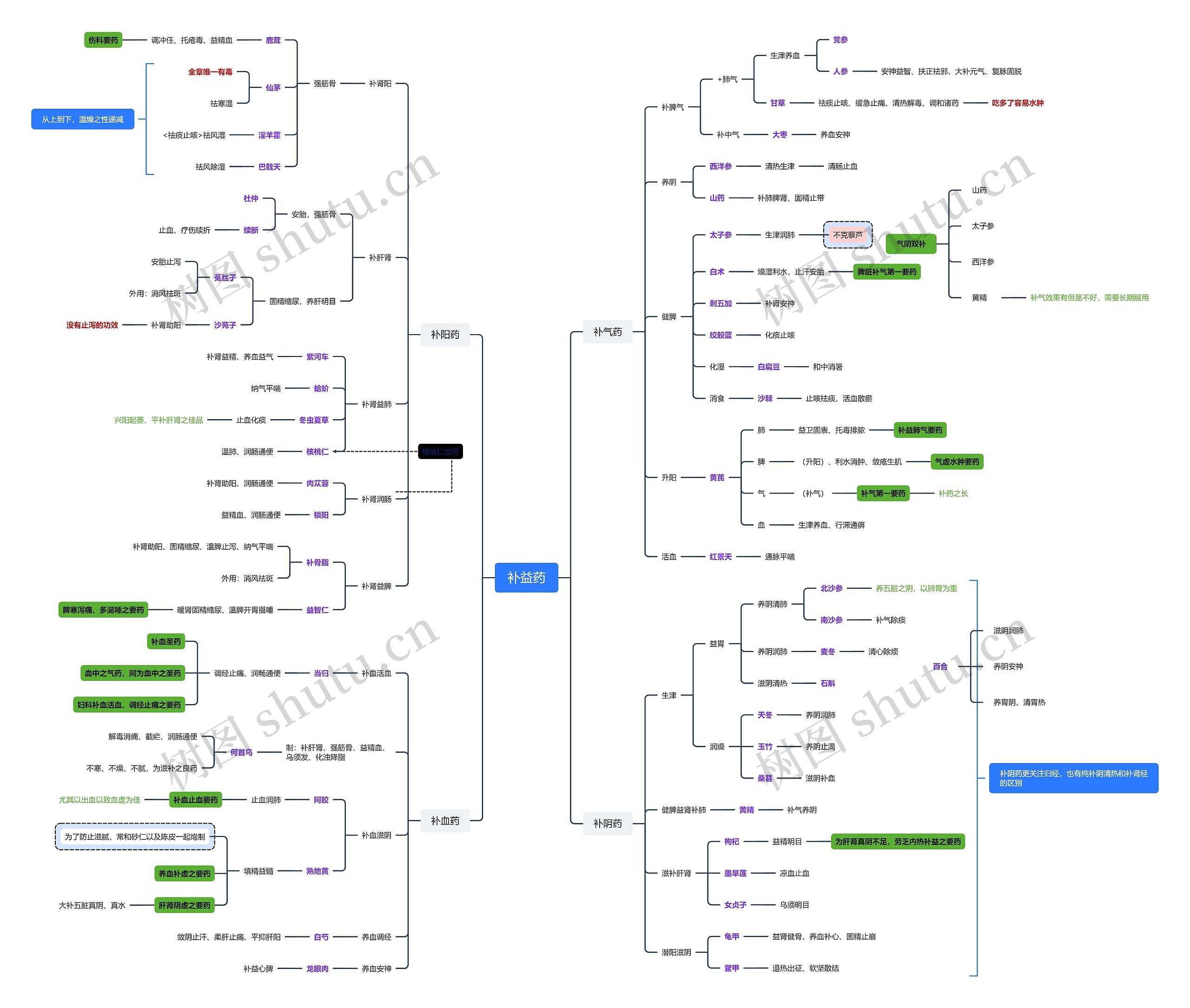 补益药药理知识脑图
