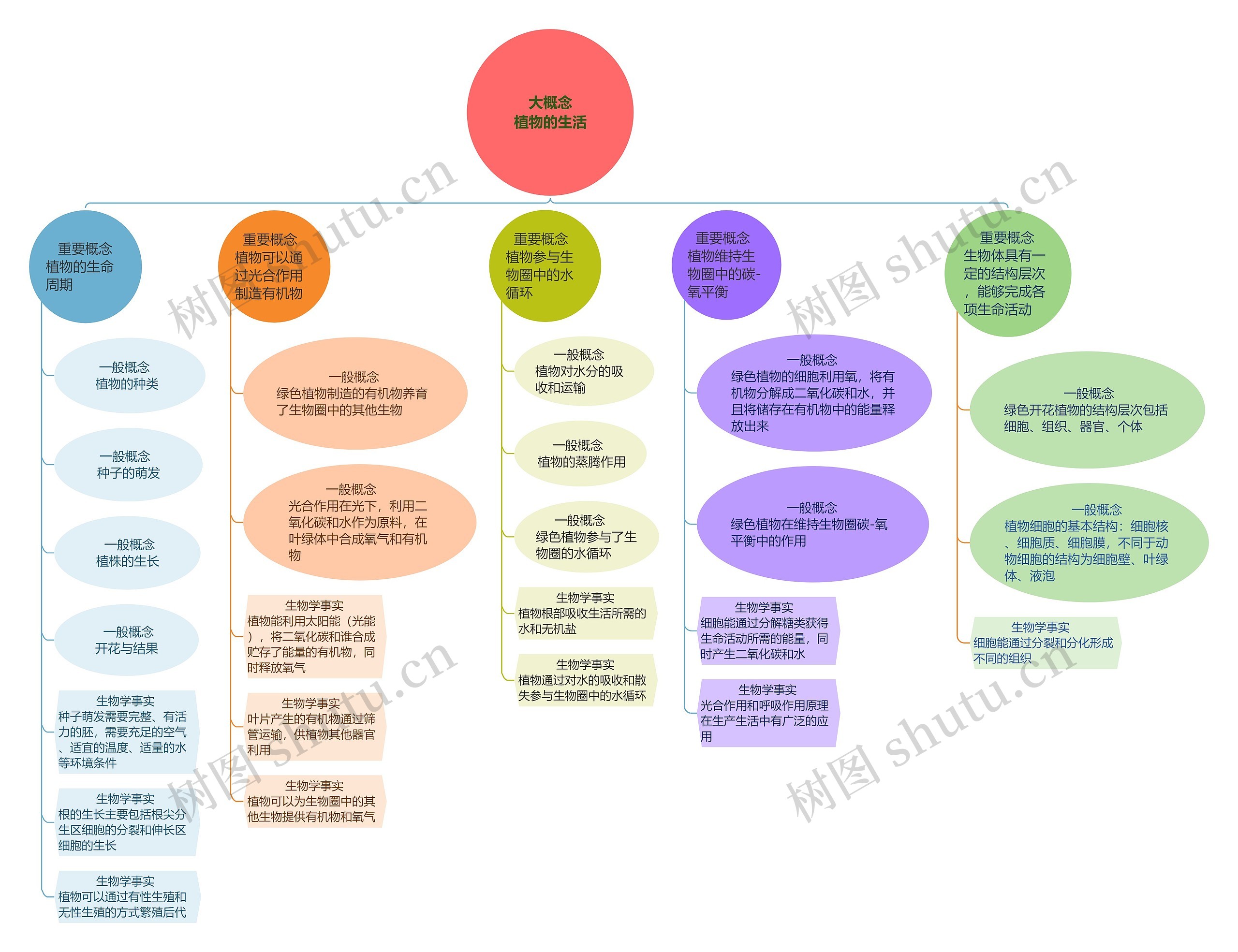 植物的生活思维脑图