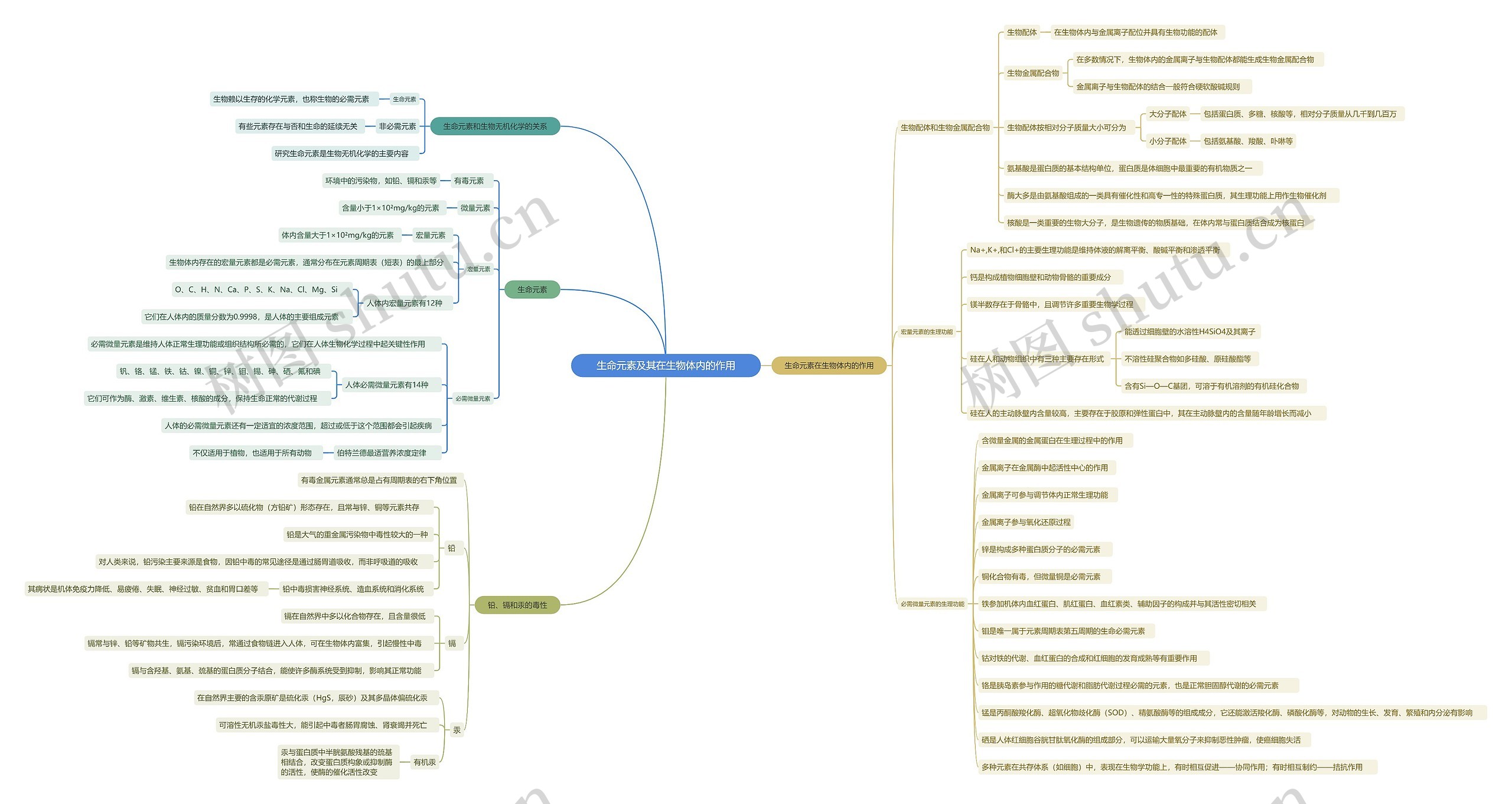 生命元素及其在生物体内的作用思维导图高清图 生命元素及其在生物体内的作用思维导图
