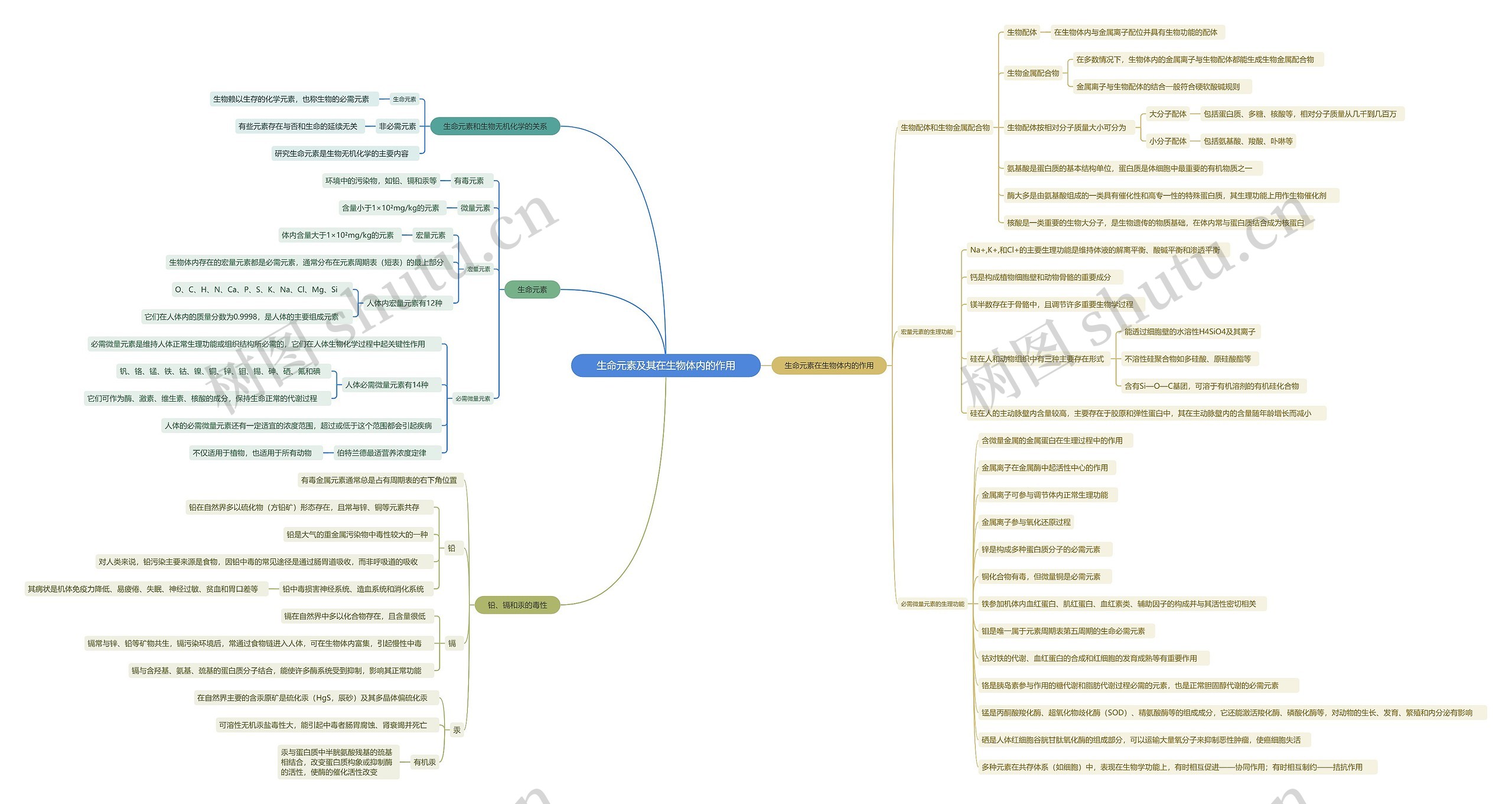 生命元素及其在生物体内的作用思维导图