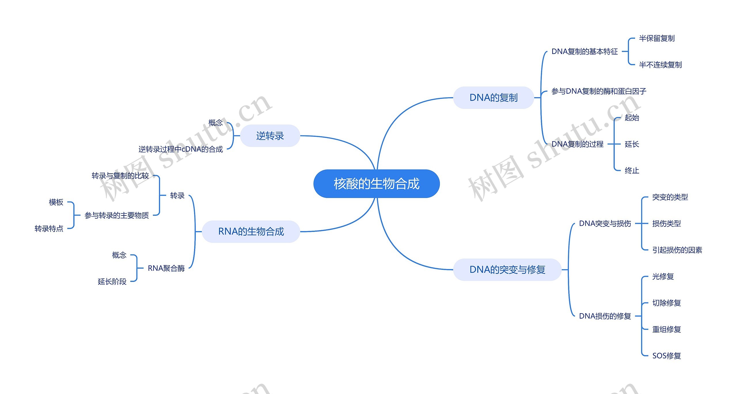 核酸的生物合成思维脑图