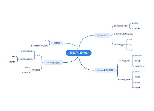 核酸的生物合成思维脑图