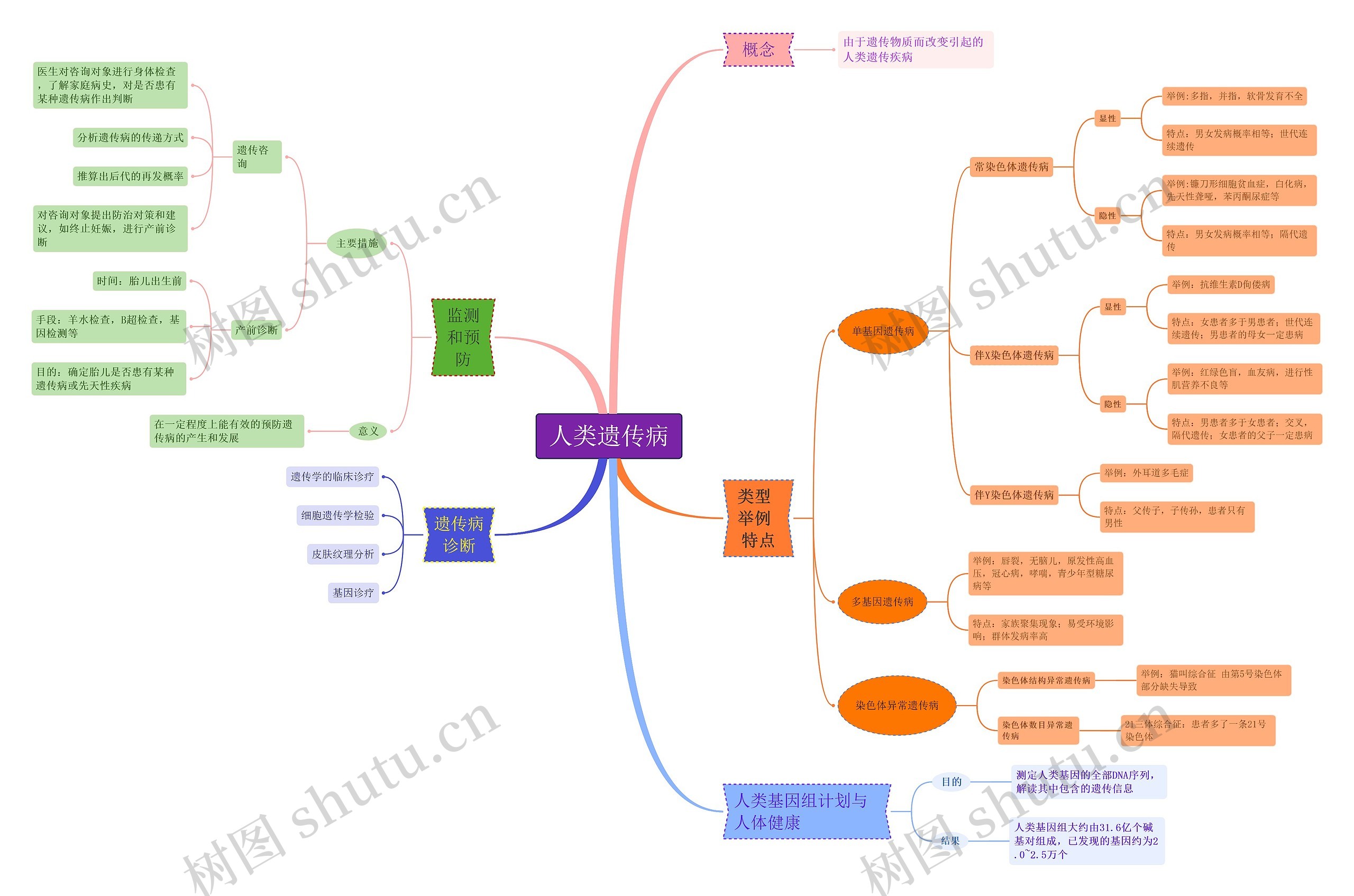 人类遗传病思维导图