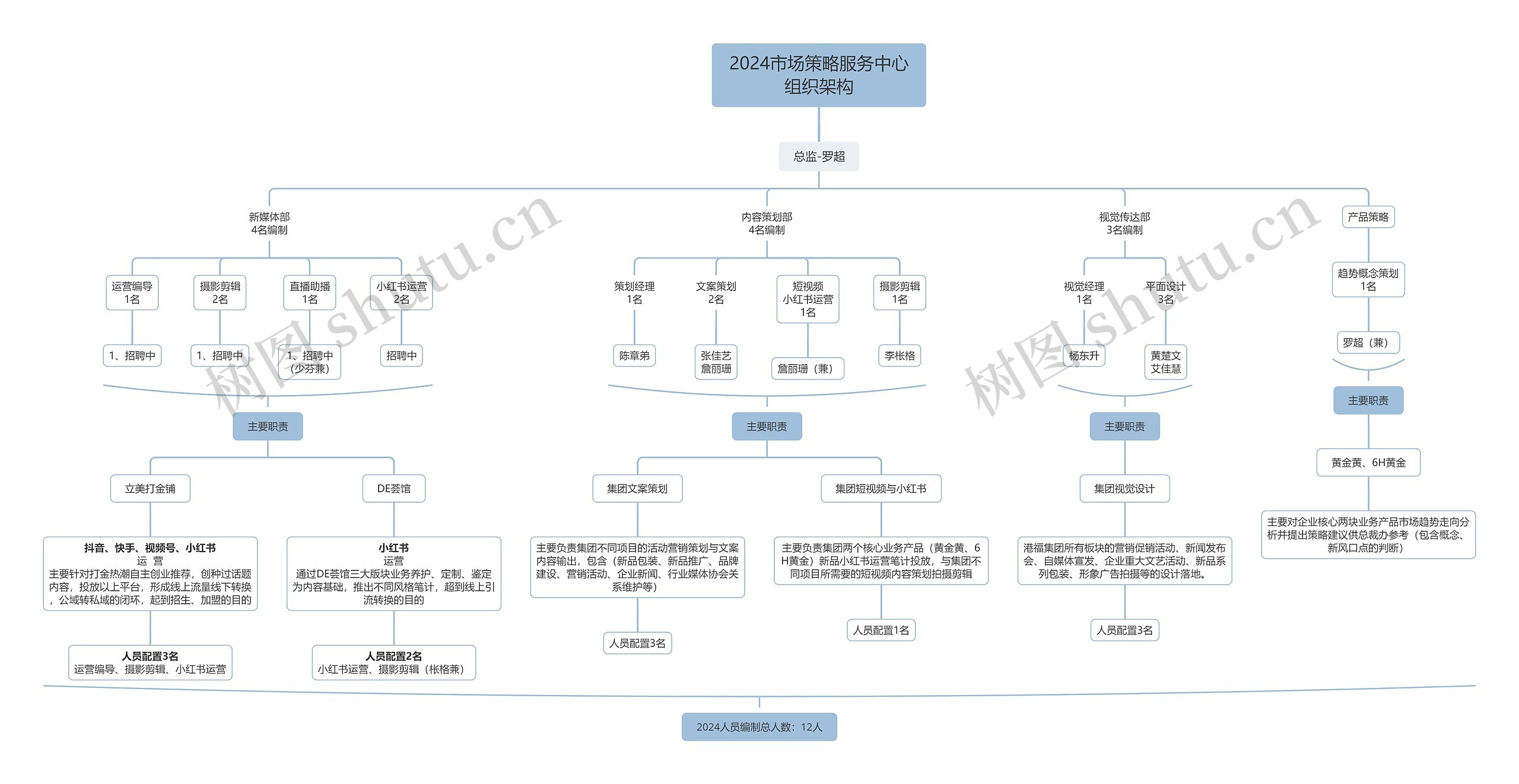 2024市场策略服务中心组织架构思维导图