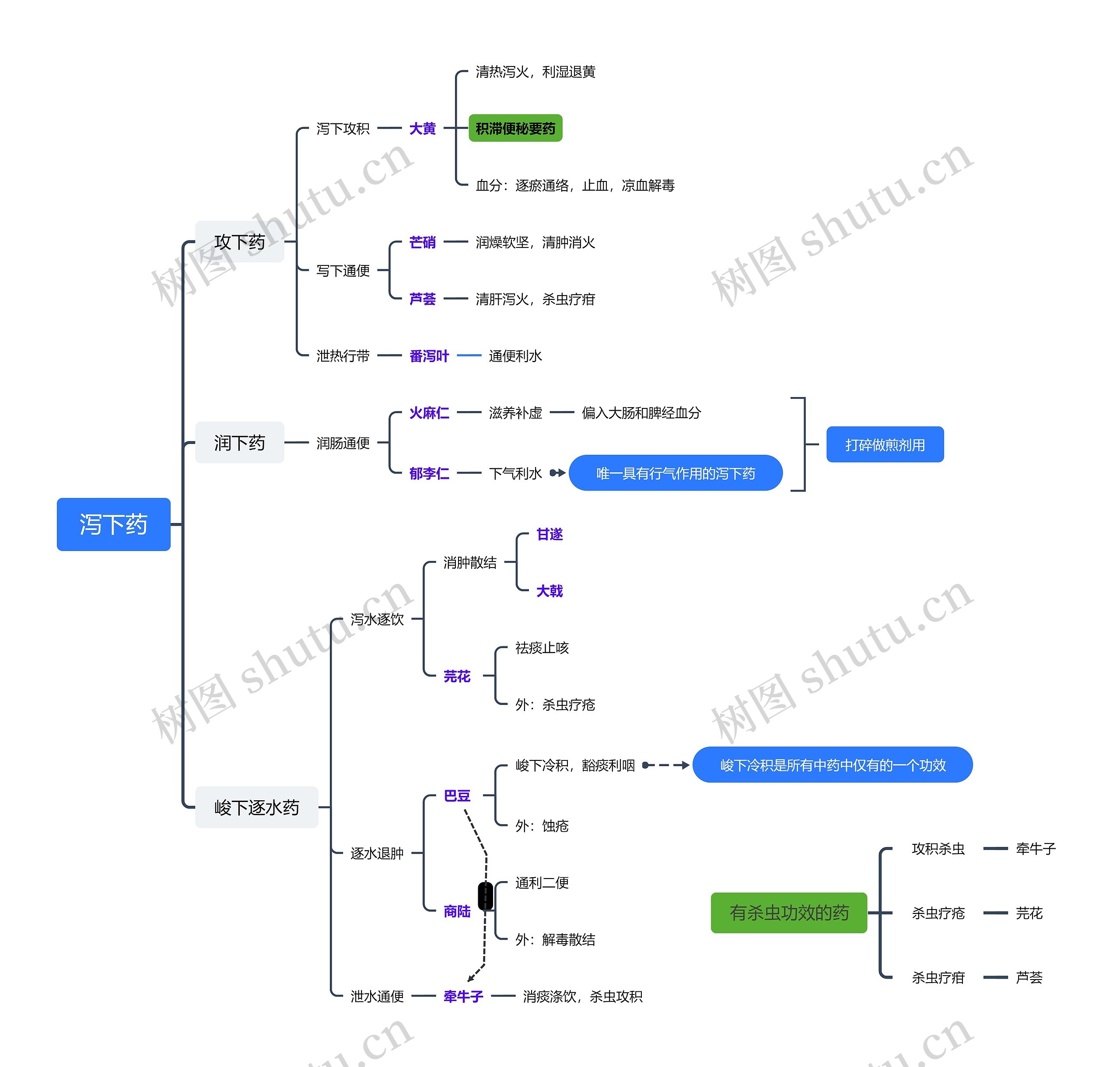 泻下药思维脑图