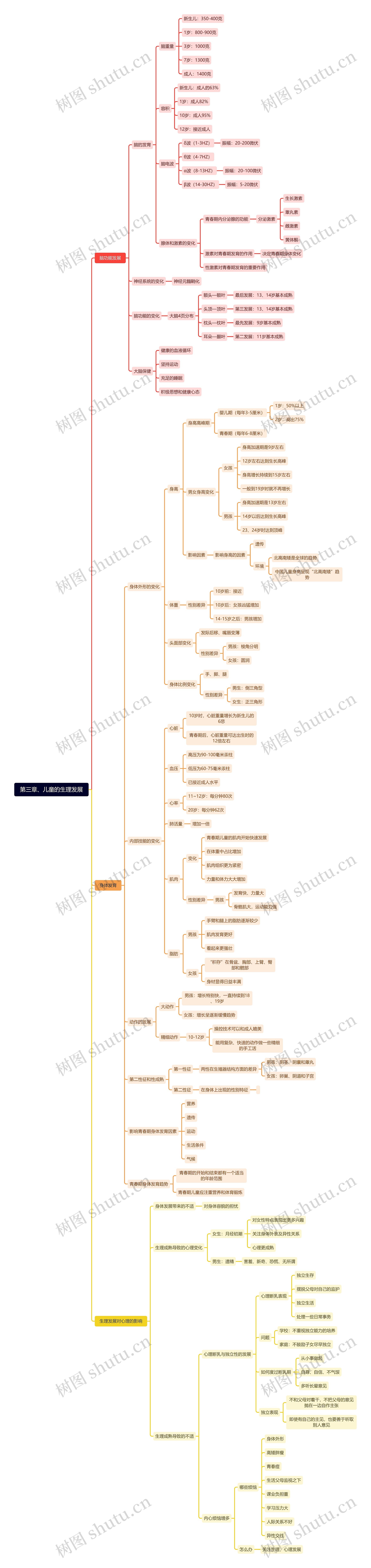 儿童的生理发展思维导图