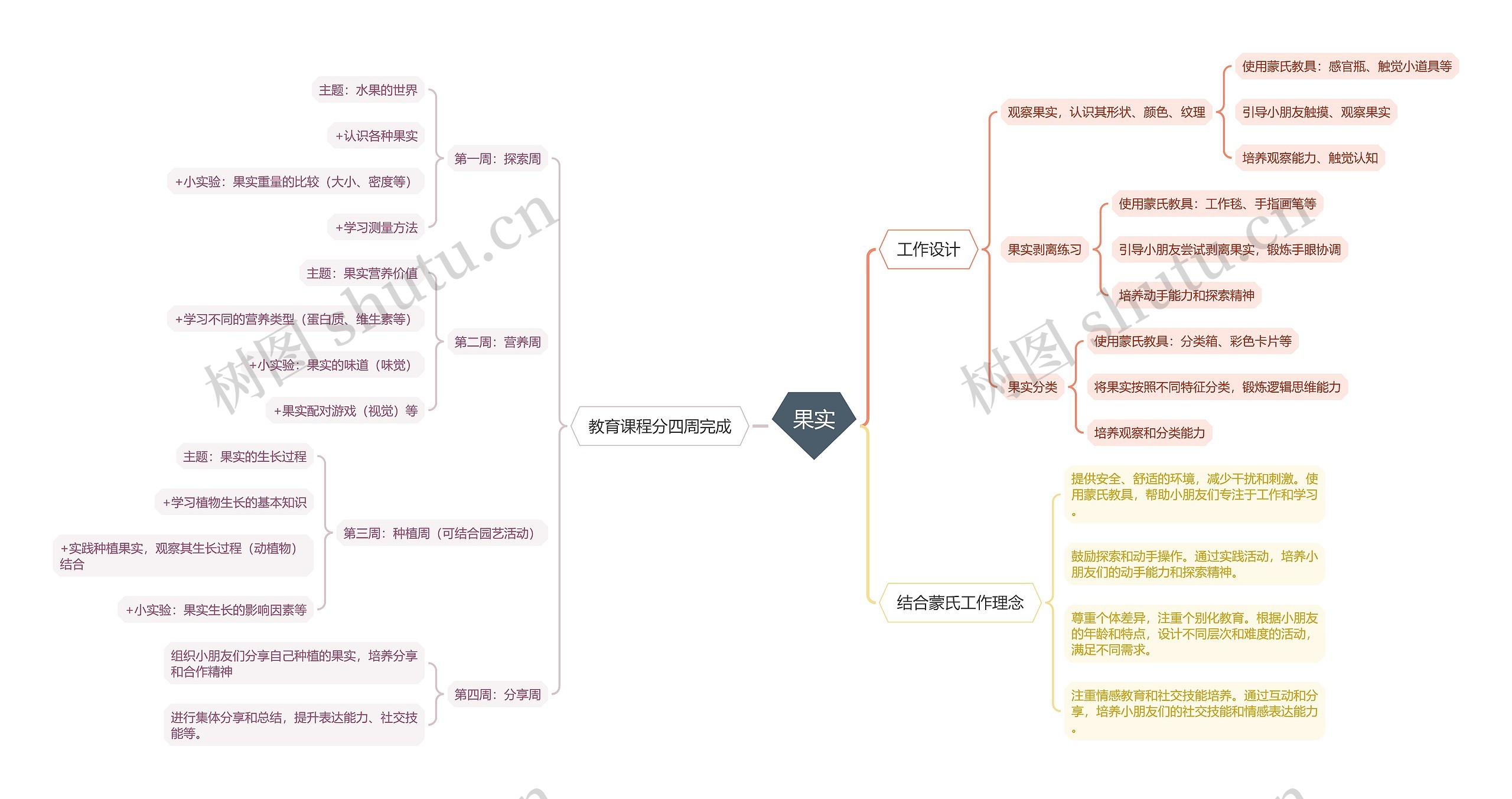 果实教育课程思维脑图