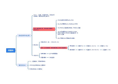 ﻿核糖体思维脑图思维导图