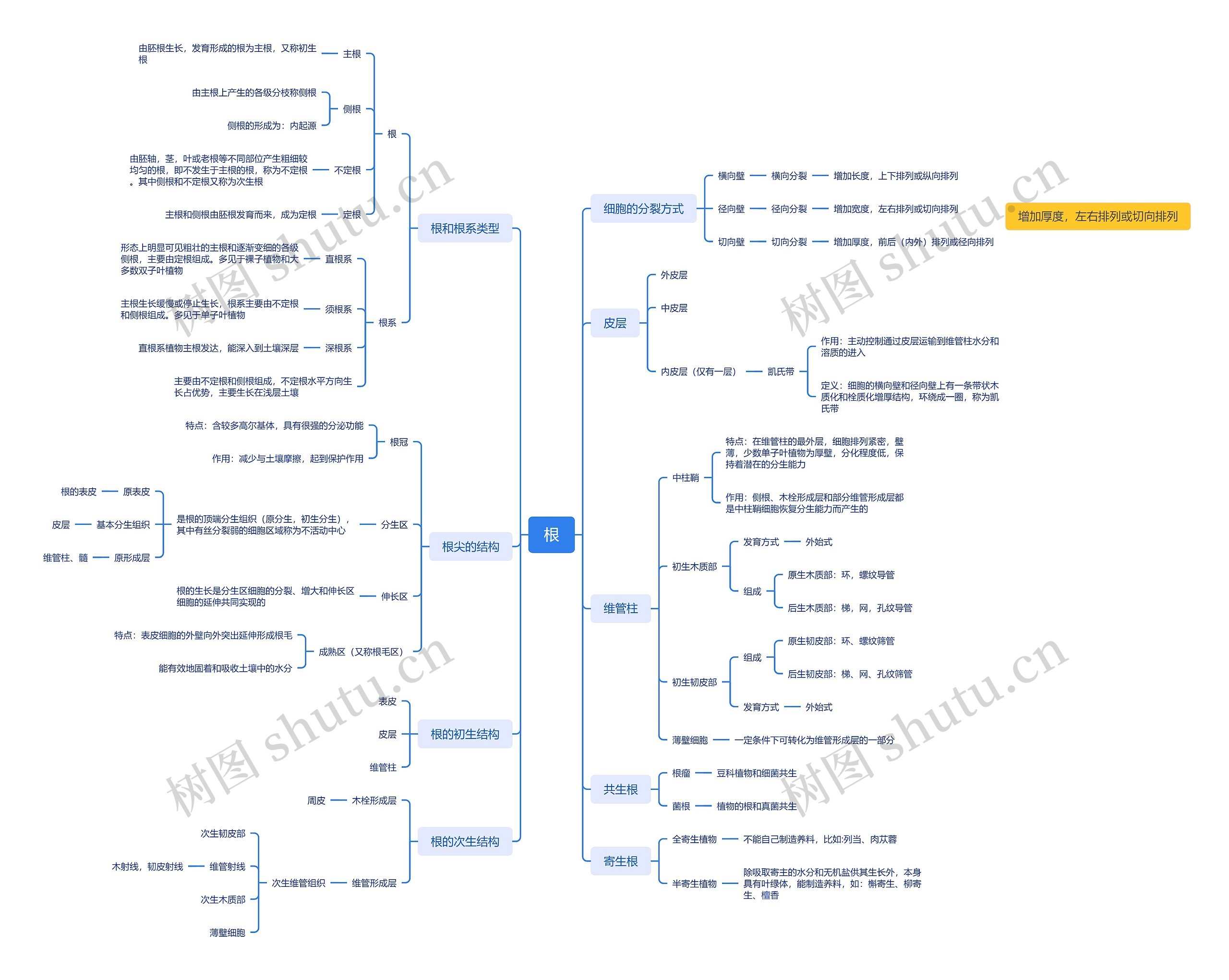 ﻿植物学根的思维导图