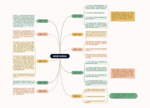 第五章法律责任思维脑图思维导图