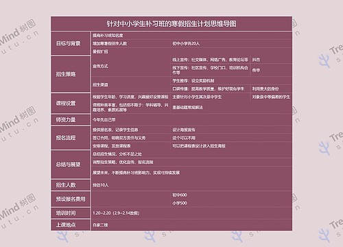 针对中小学生补习班的寒假招生计划思维导图