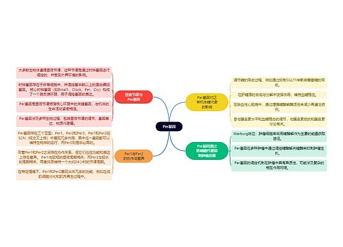 Per基因思维脑图