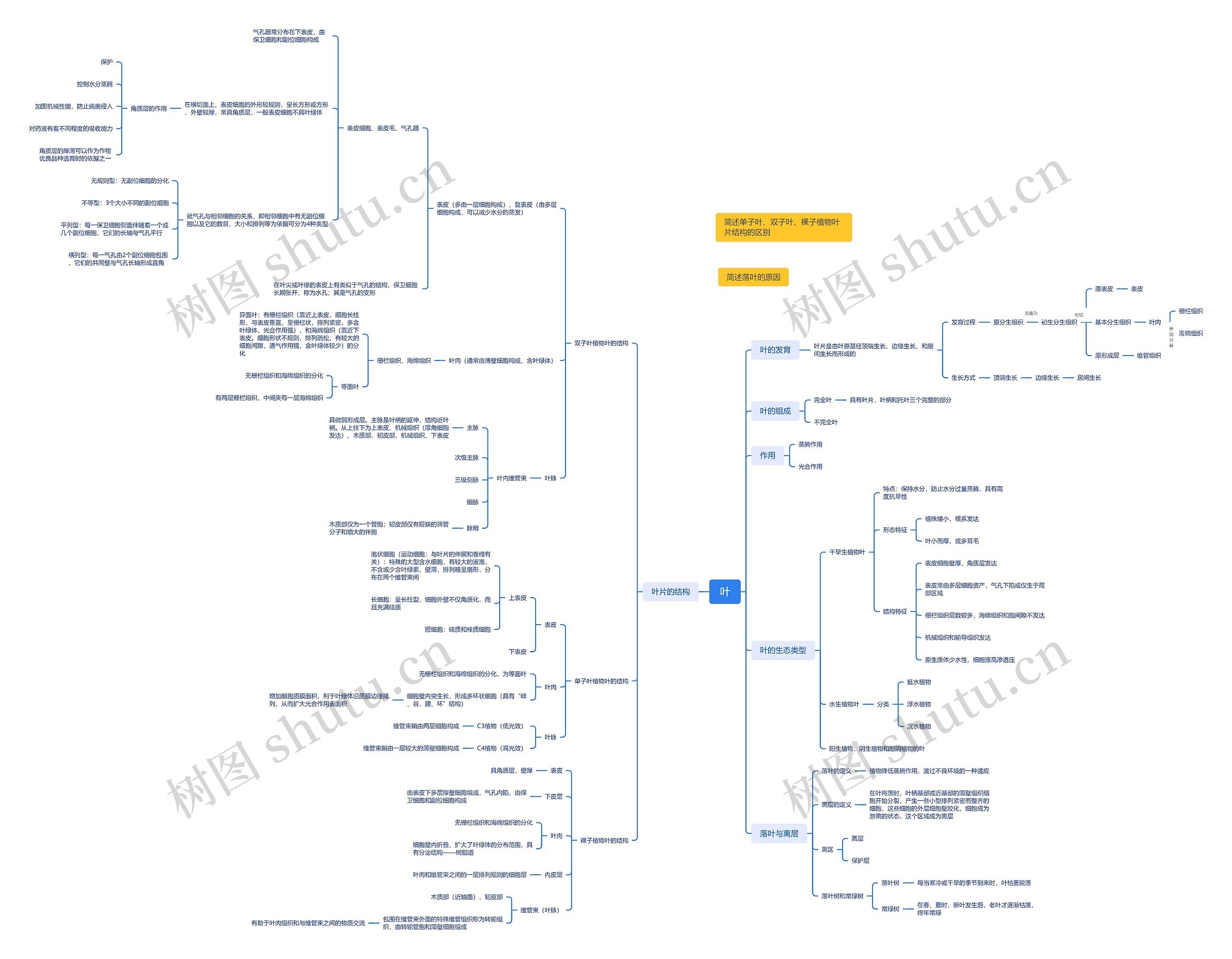 ﻿叶片相关知识思维脑图
