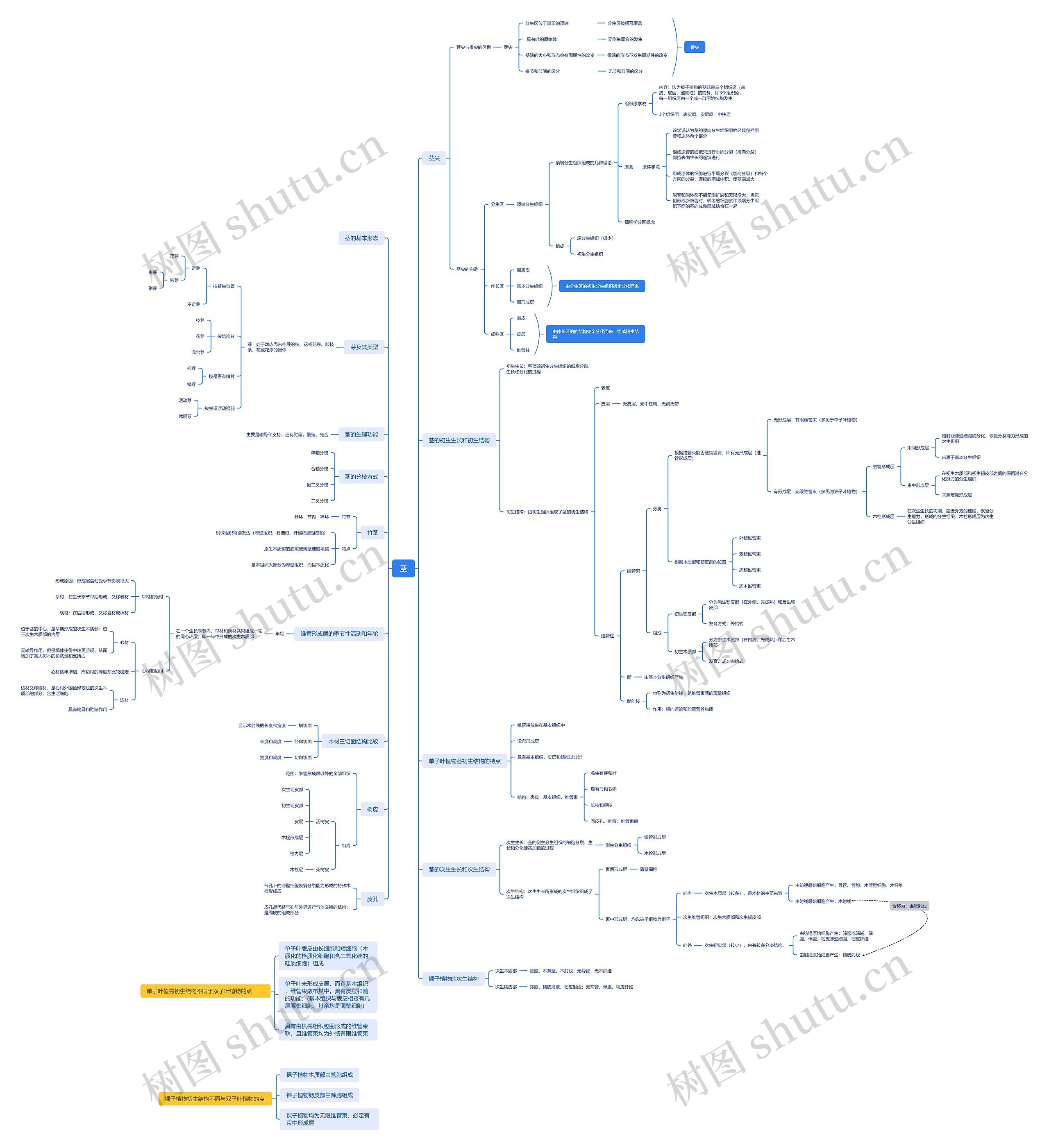 植物﻿茎的思维脑图
