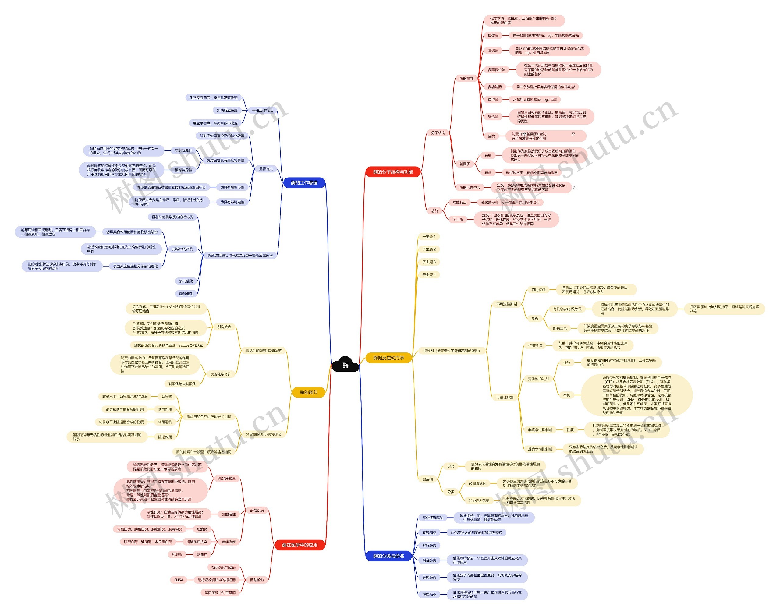 酶的相关知识思维脑图