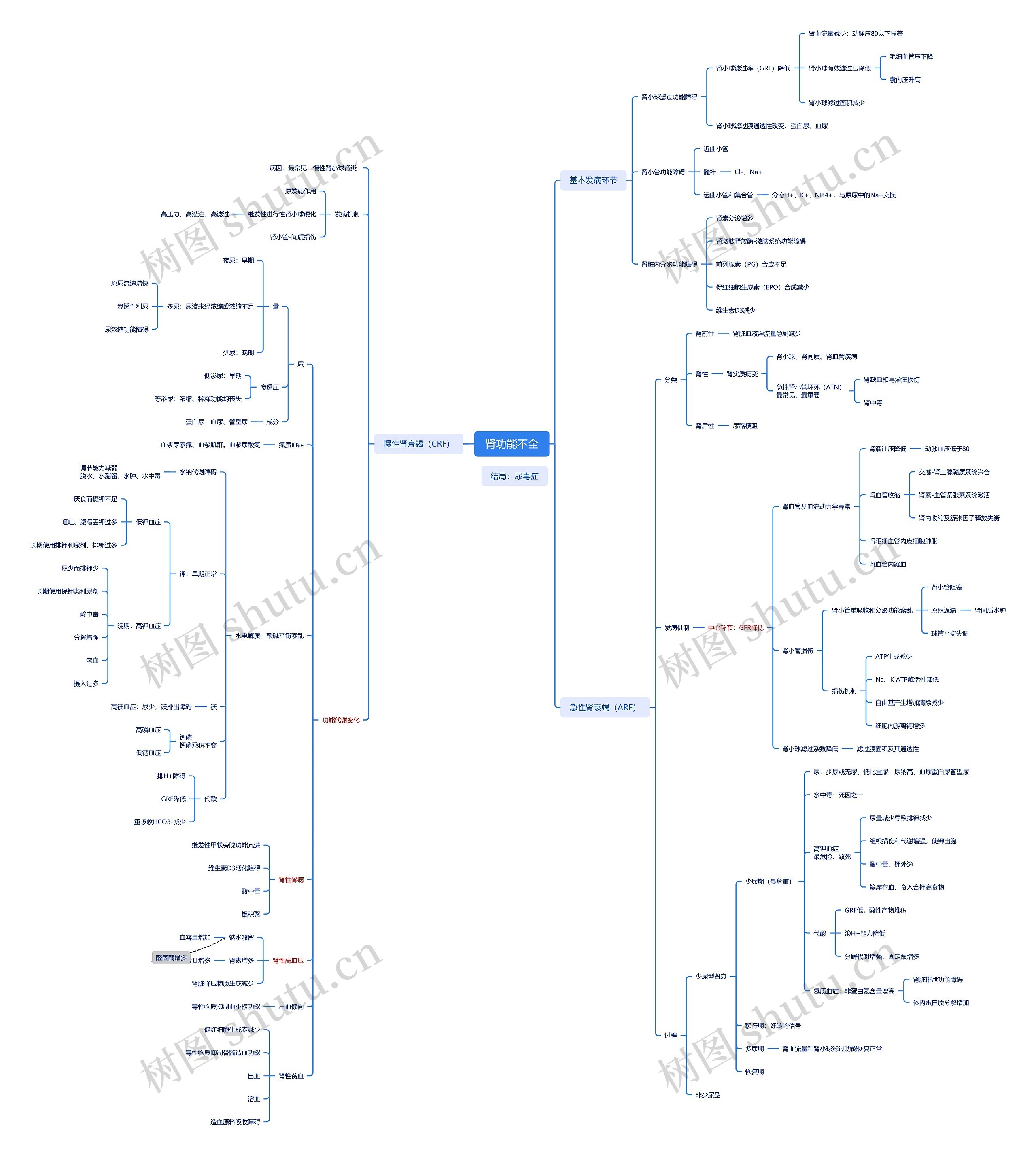 肾功能不全思维脑图
