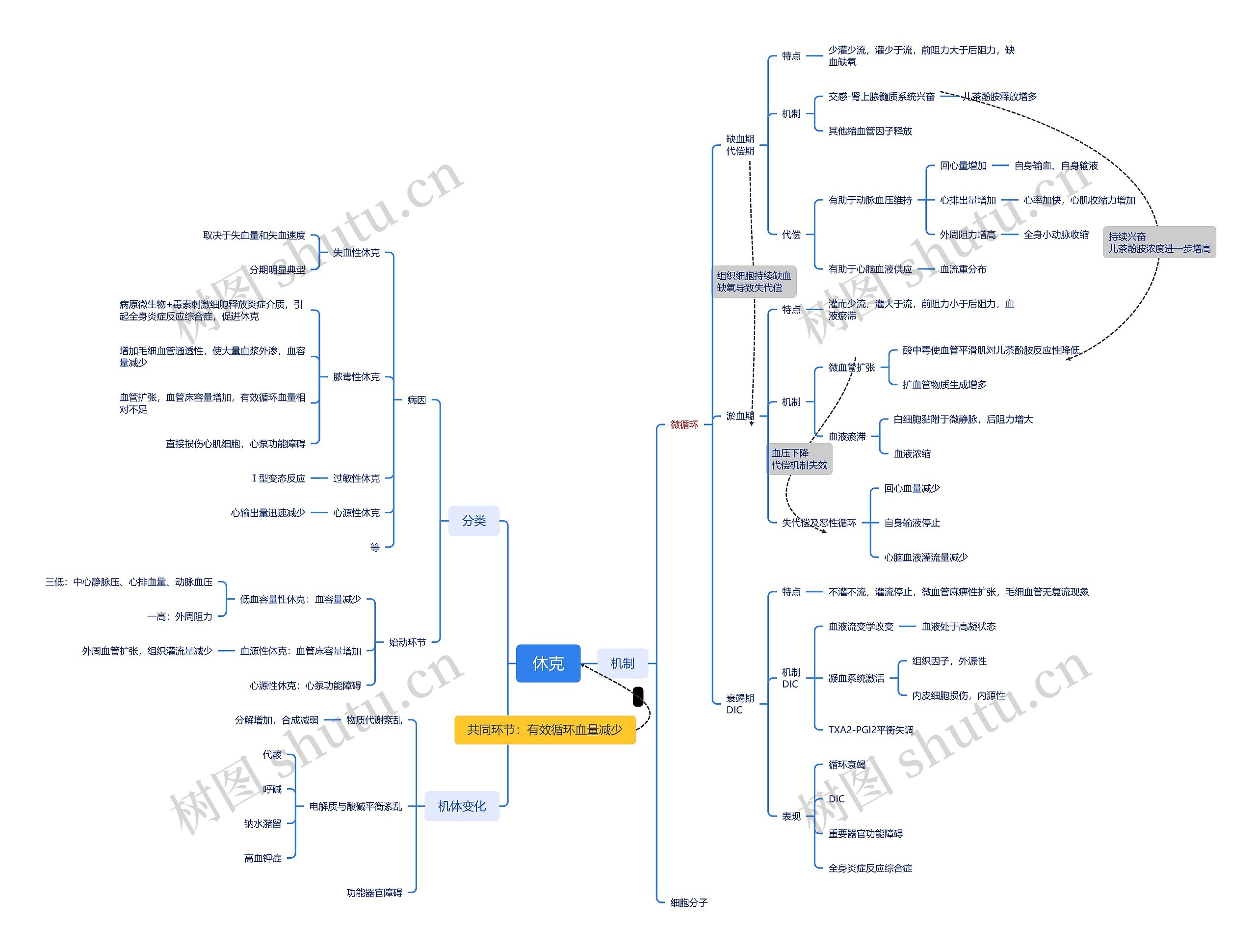 休克病理内容脑图