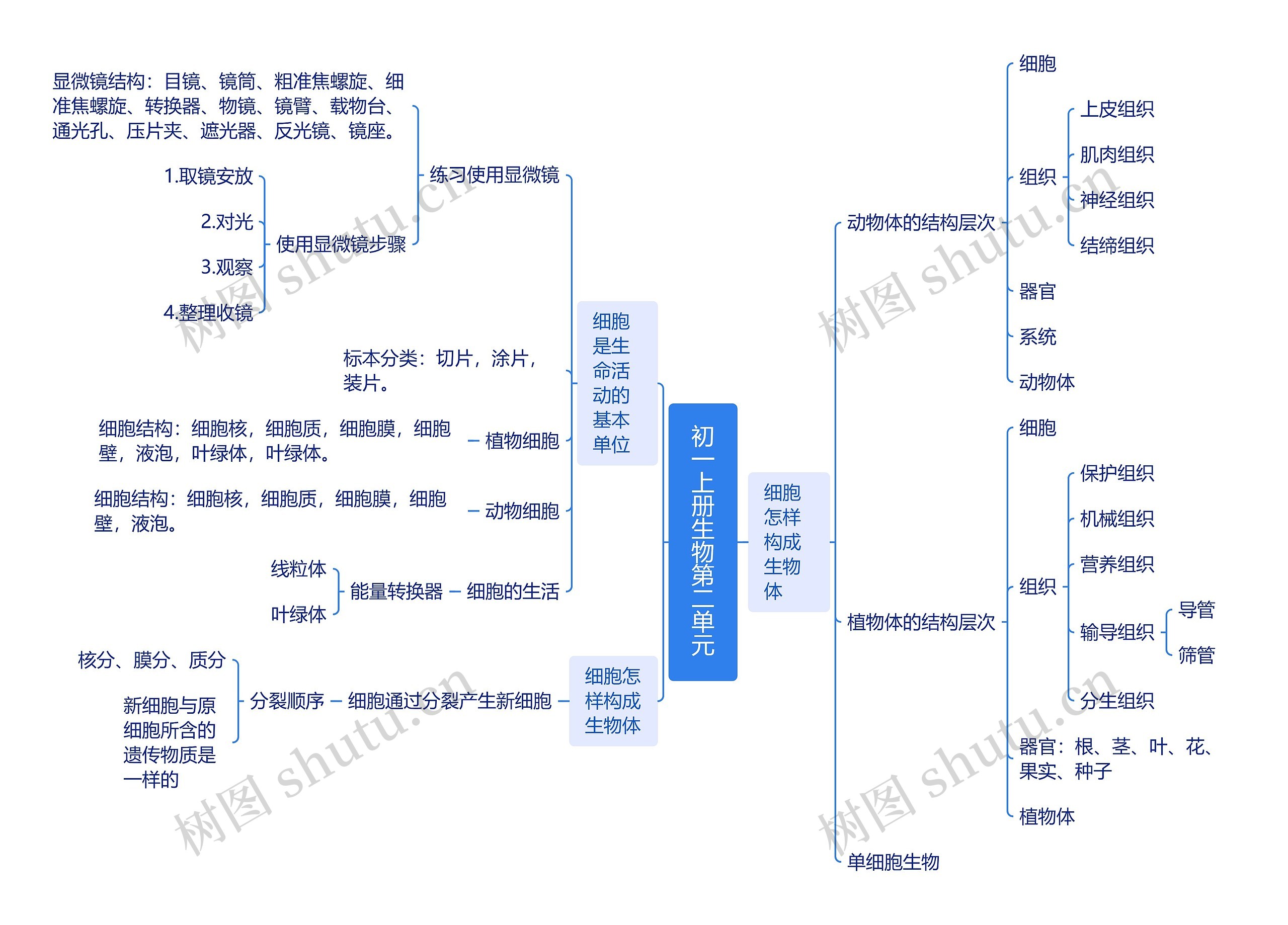 ﻿初一上册生物第二单元思维脑图