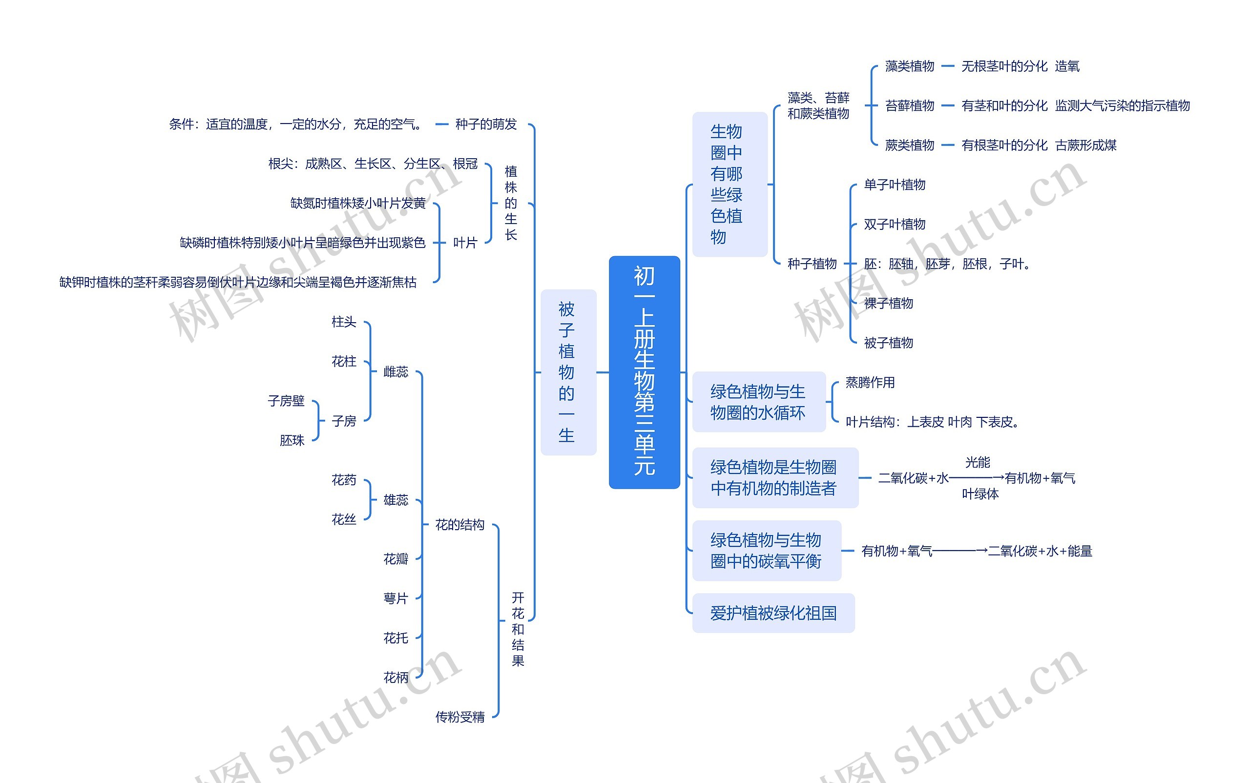 初一生物上册知识点脑图思维导图